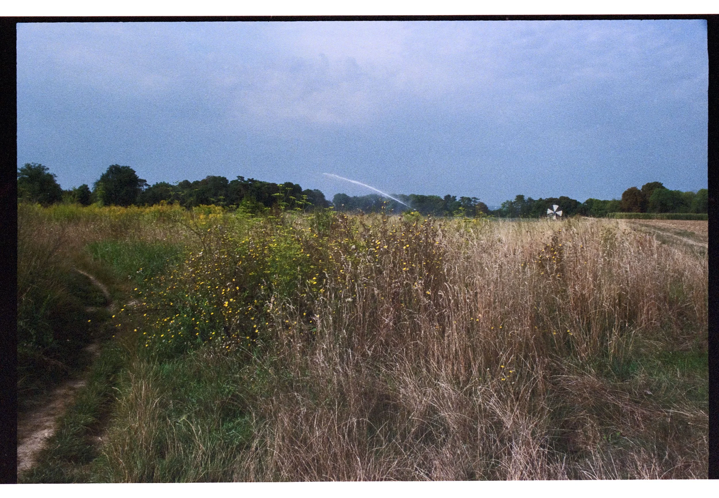 Image 5 copie.jpg