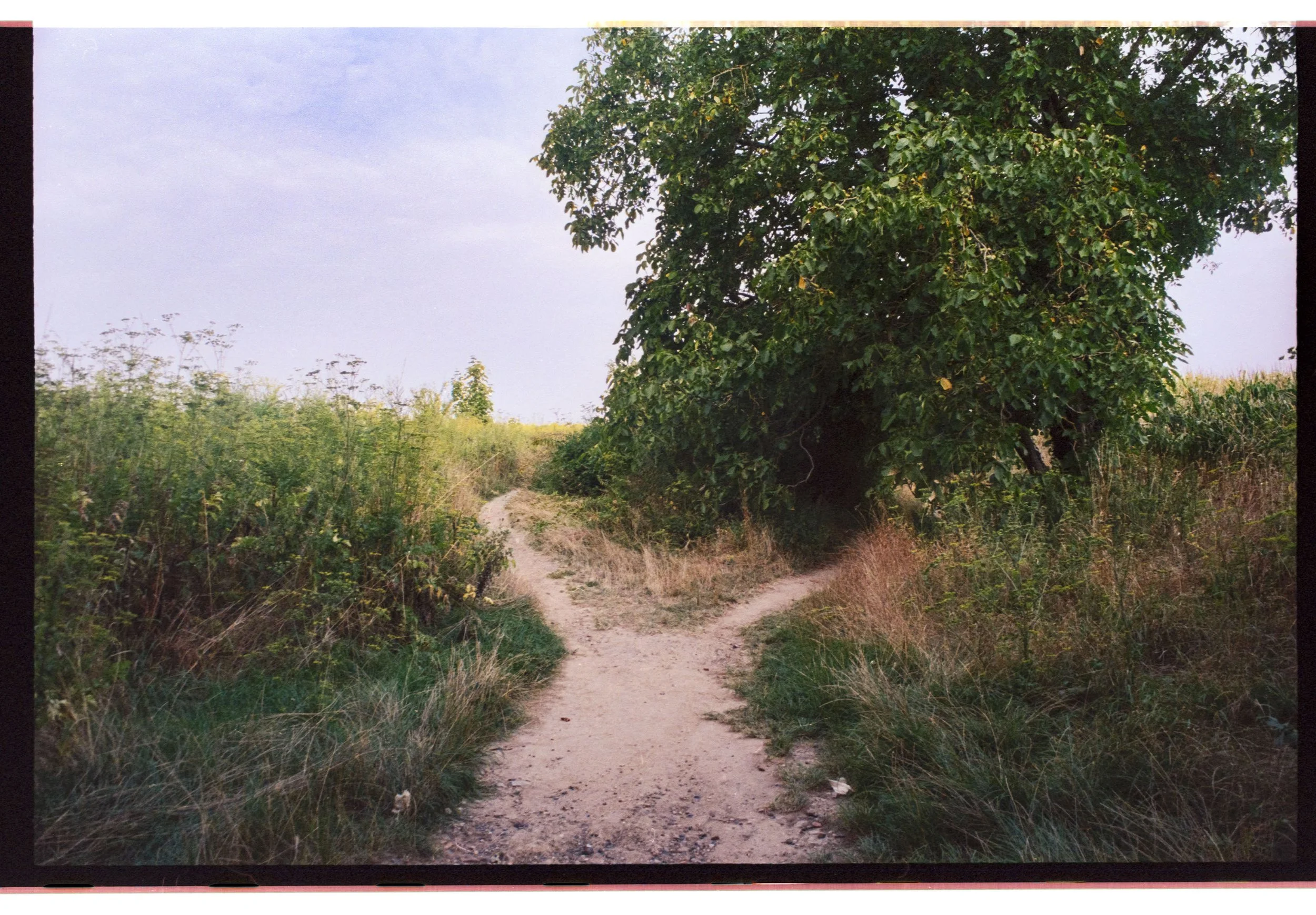 Image 10 copie.jpg