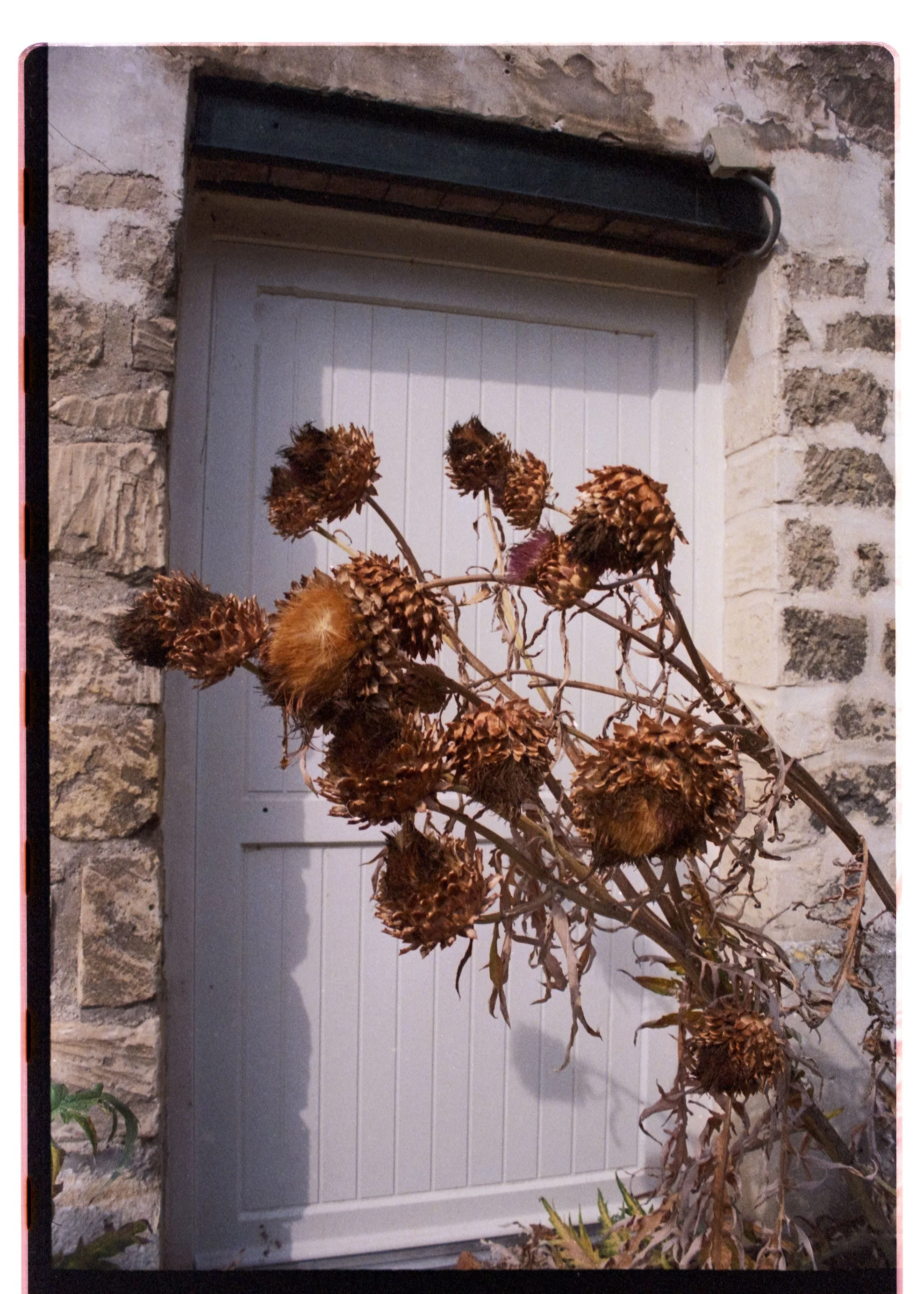 Image 11 copie.jpg