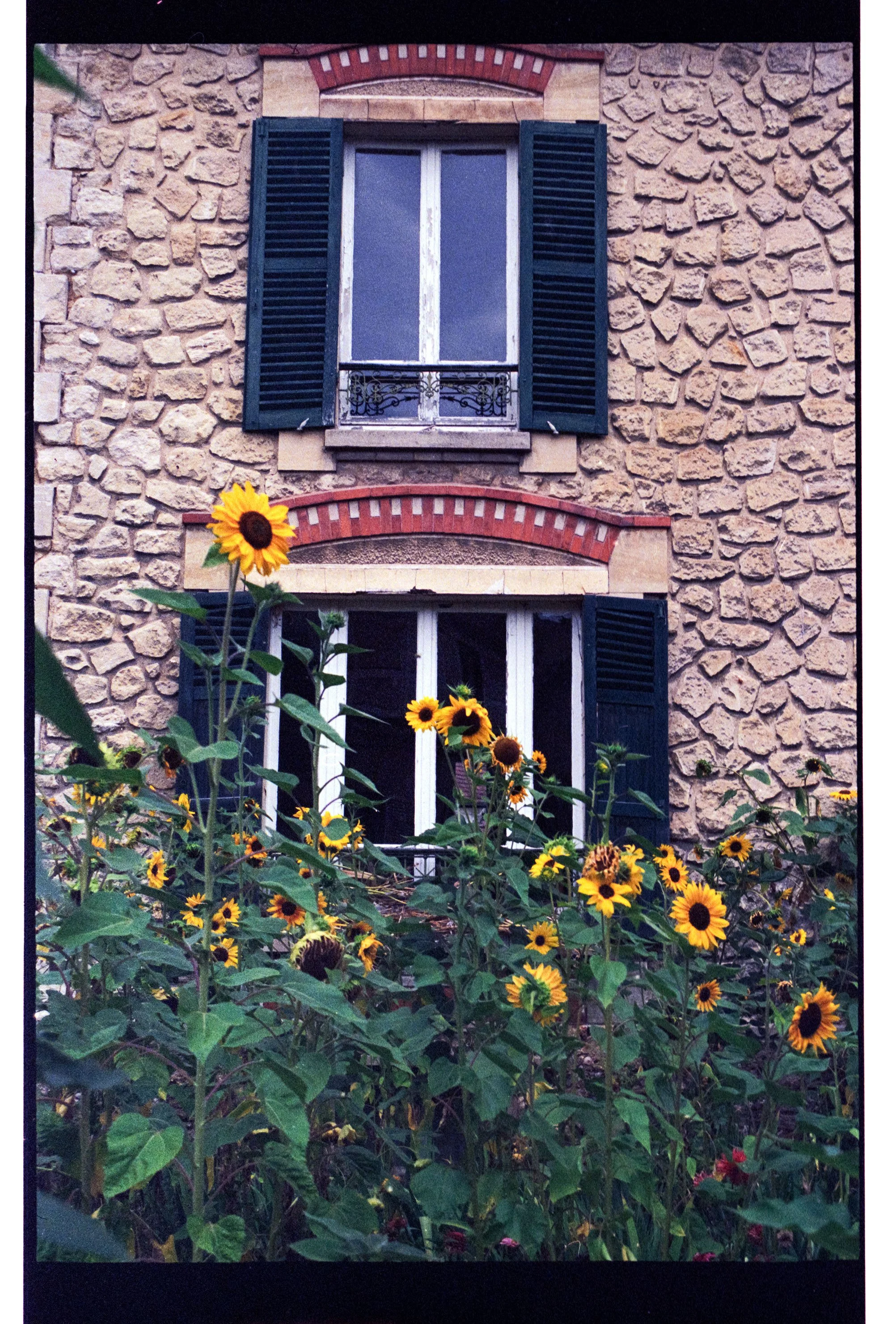 Image 22 copie.jpg