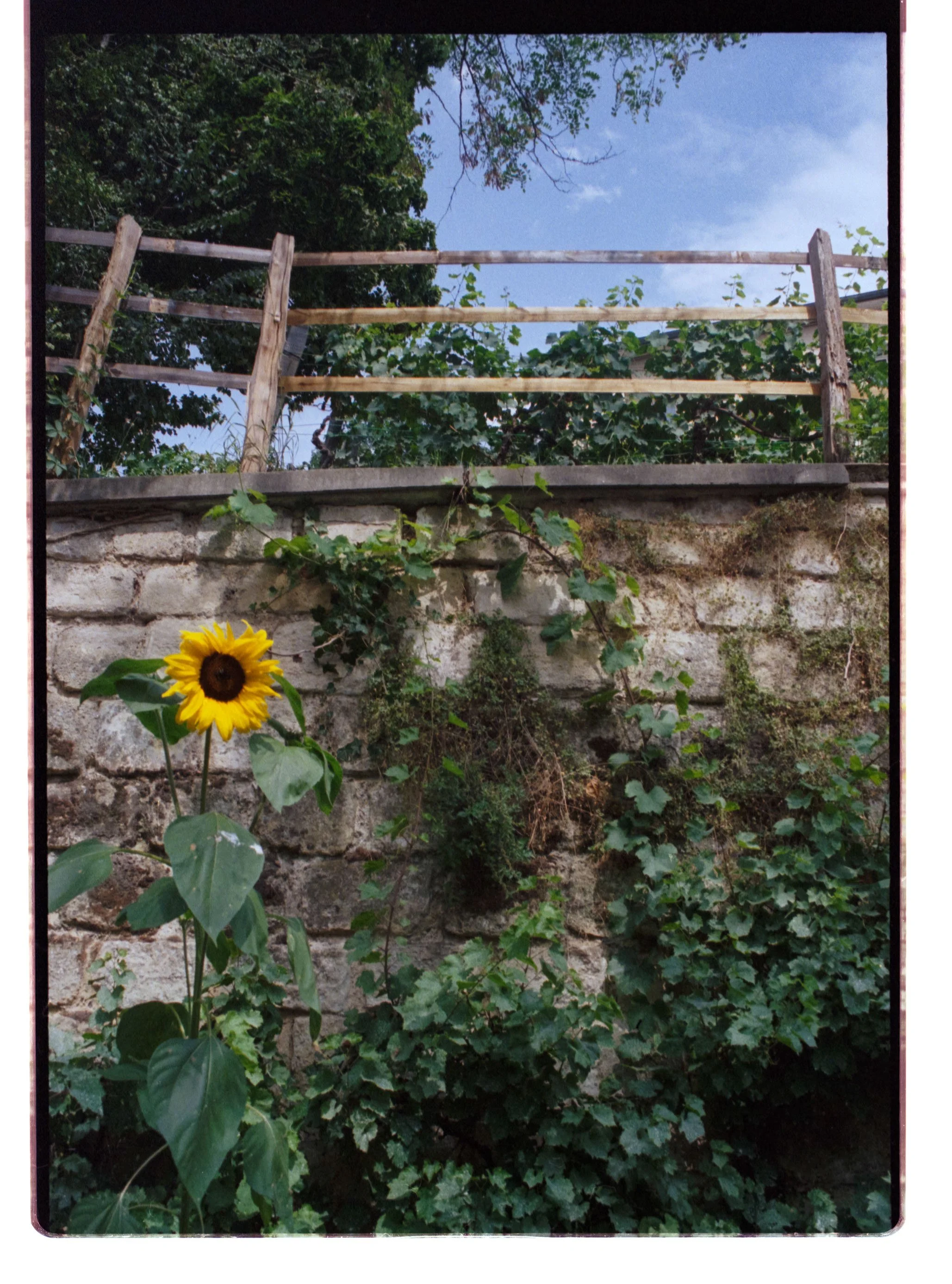 Image 30 copie.jpg