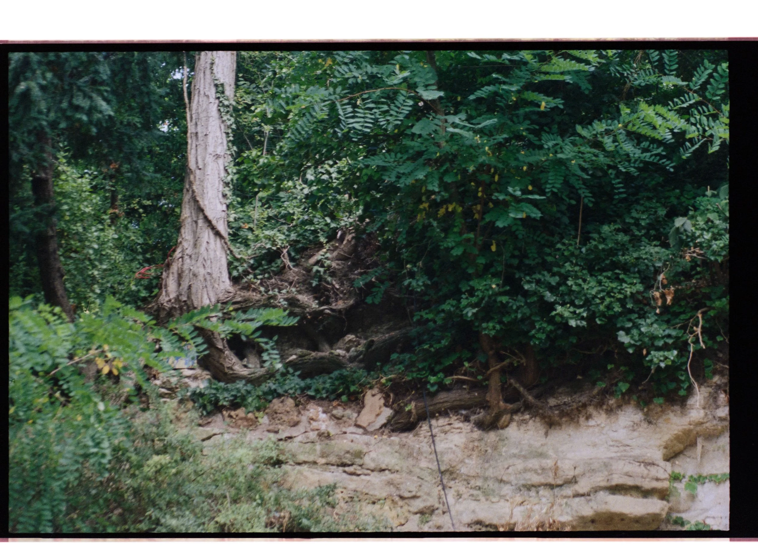 Image 34 copie.jpg