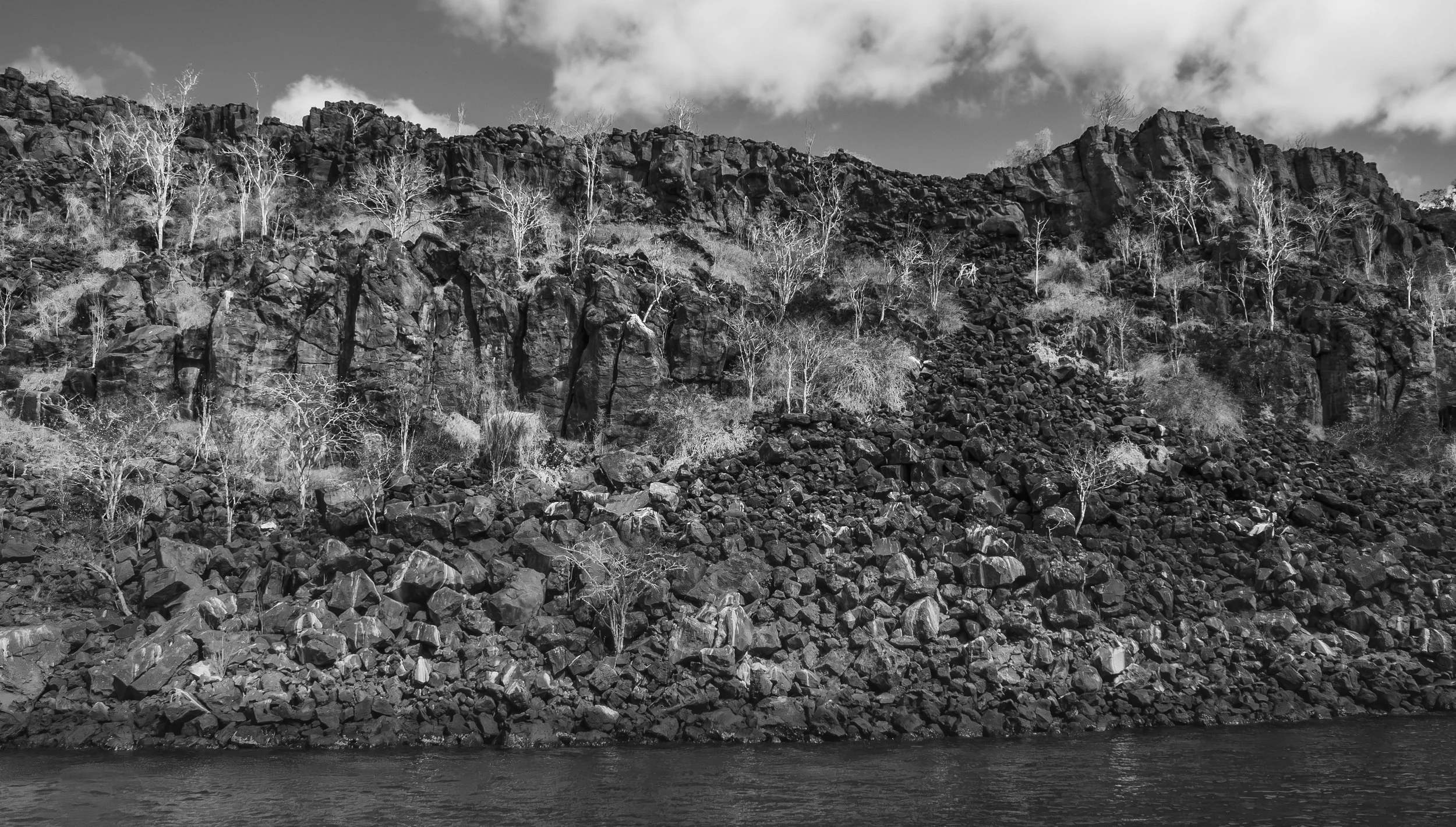 P1010247-Edit-BW.jpg