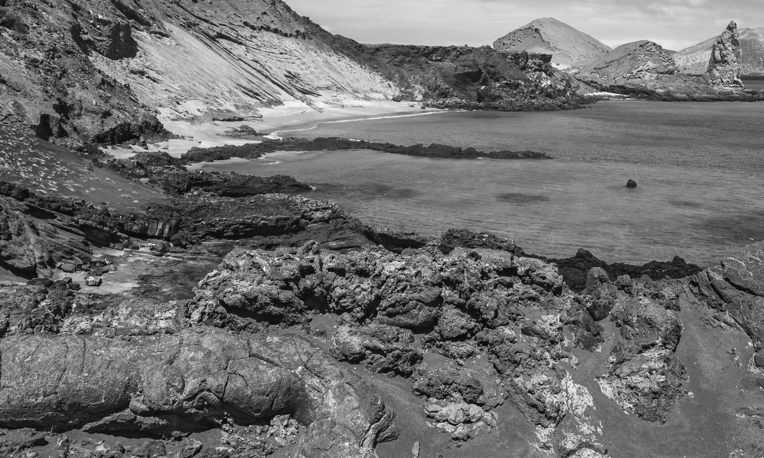 P1010319-Edit-BW.jpg