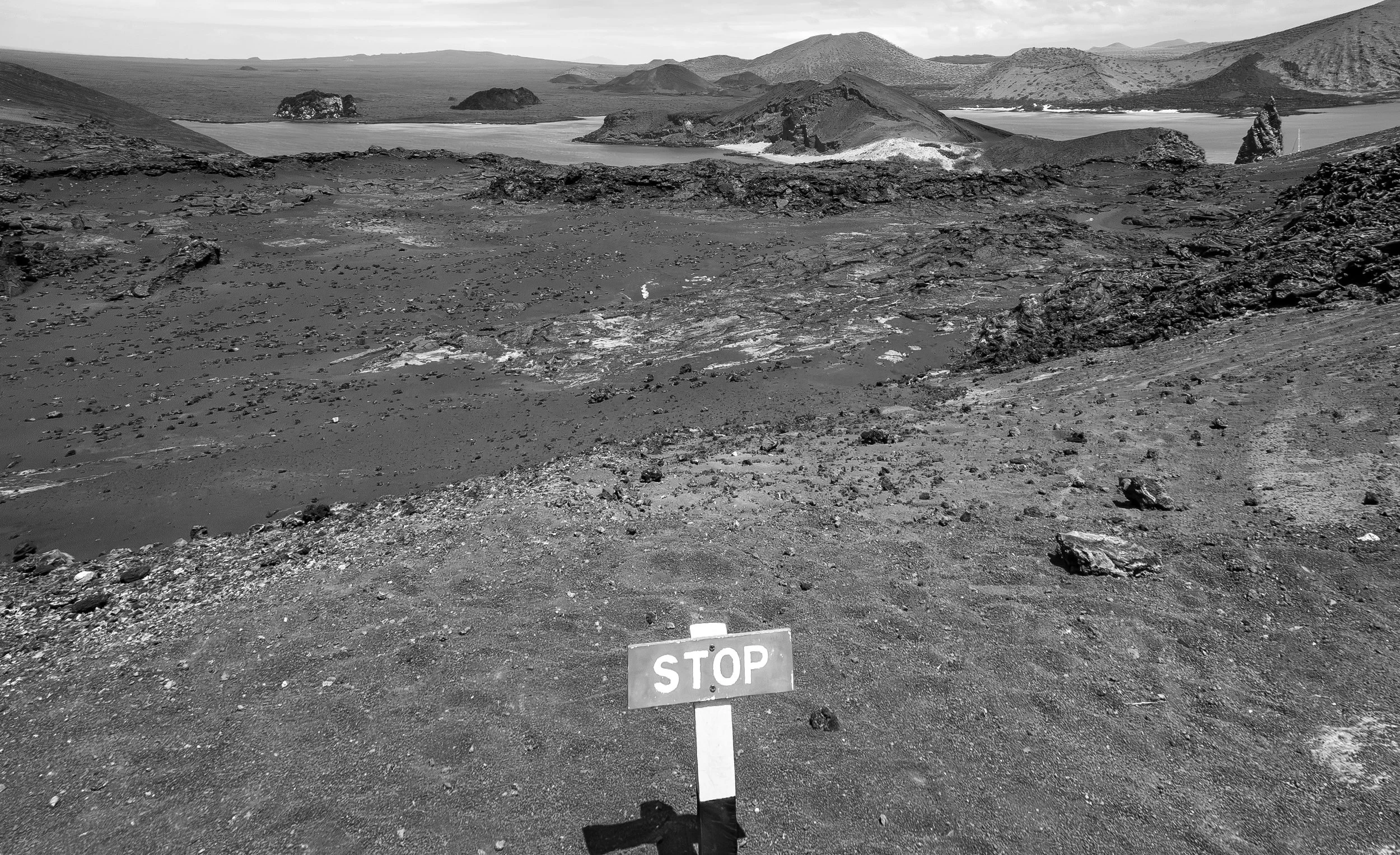 P1010336-Edit-BW.jpg