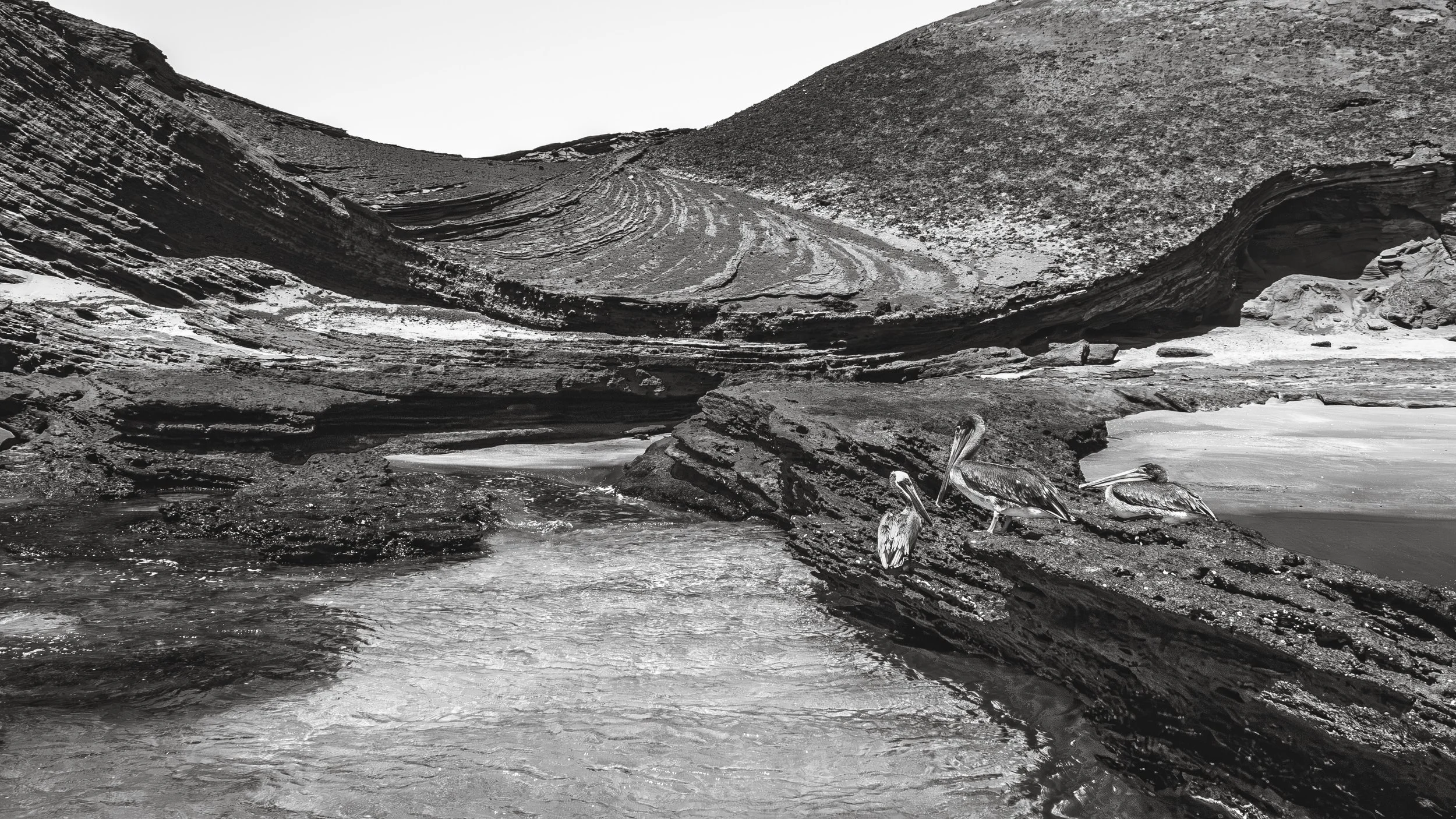 P1010418-Edit-BW.jpg