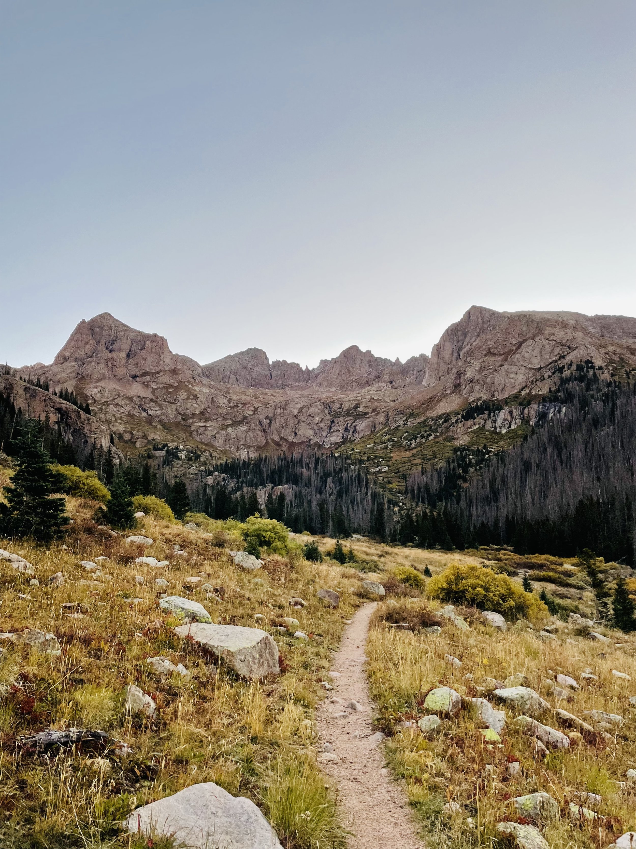 A dirt trail winding through a grassy mountain landscape with rocky peaks and dense trees in the background under a clear sky. Chicago Basin, Colorado