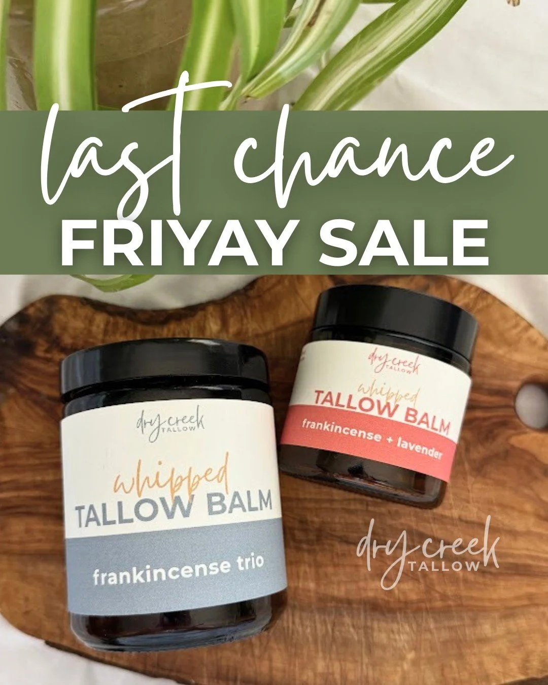 ⏰ Going, going, GONE! Our FRIYAY Sale is in its final hours - don&rsquo;t miss out! 💨 Head over to drycreektallow.com now to snag your favorite tallow at one of our lowest prices yet! ✨

💵 FRIYAY5 - $5 off any order
💰 FRIYAY10 - $10 off orders ove