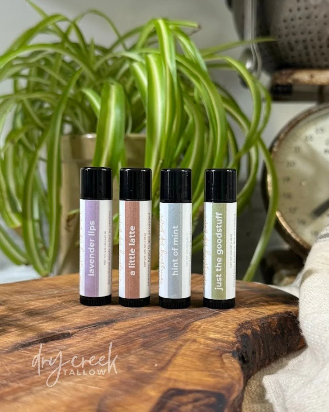 Meet your new best friend! ✨ Our Tallow + Honey Lip Balms have officially launched on the website! These little tubes of goodness are packed with pure tallow, raw honey, and beeswax to deeply hydrate, heal, and protect your lips naturally. 

💋 Pop o