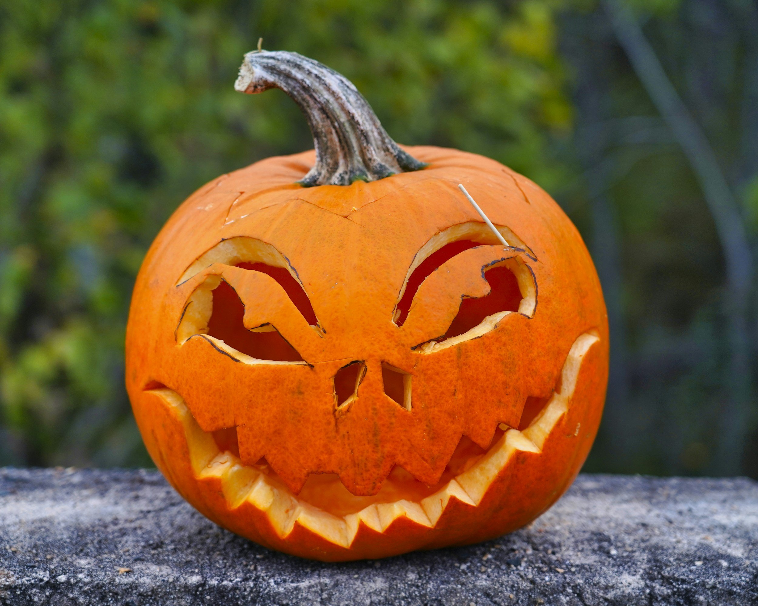 Halloween Celebration