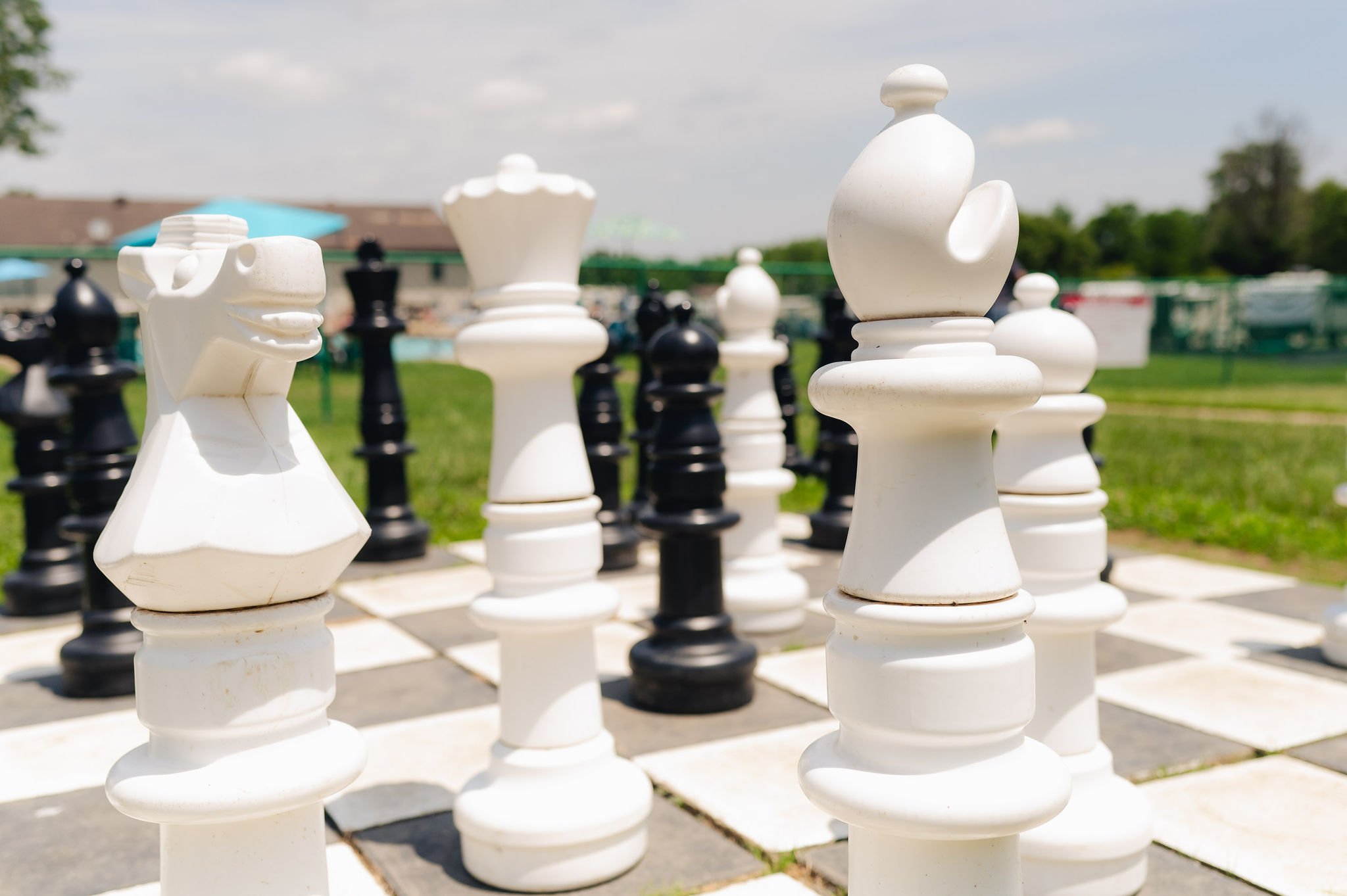 Large white chess pieces, including a knight and a bishop, set up on a chessboard outdoors with a grassy field and trees in the background.