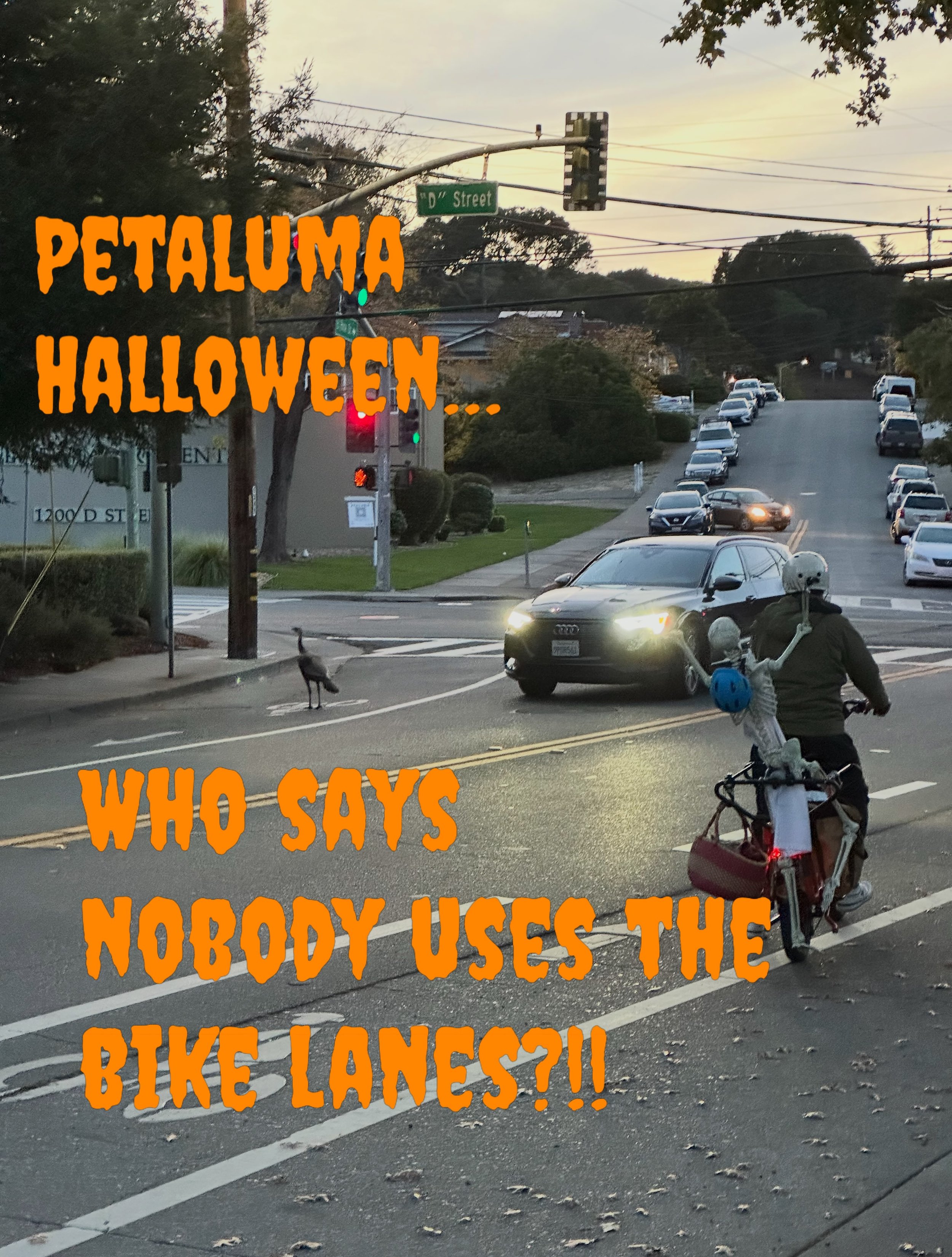 Active transportation traffic on Sunnyslope Avenue at D St.