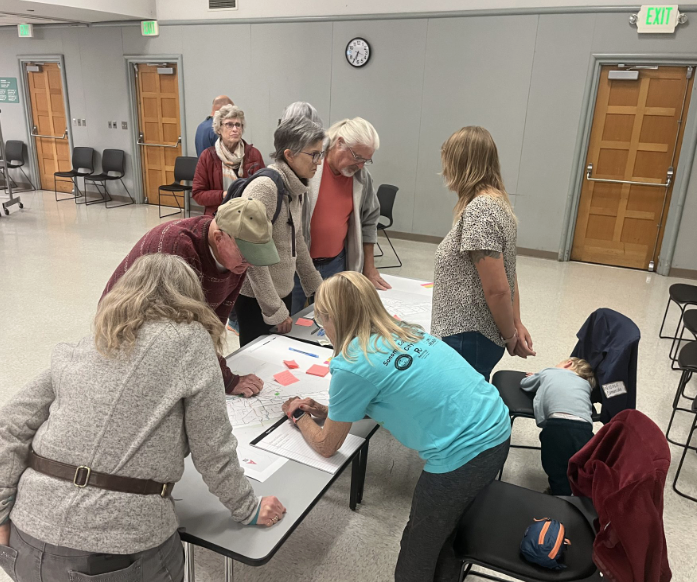 Expert volunteers in action