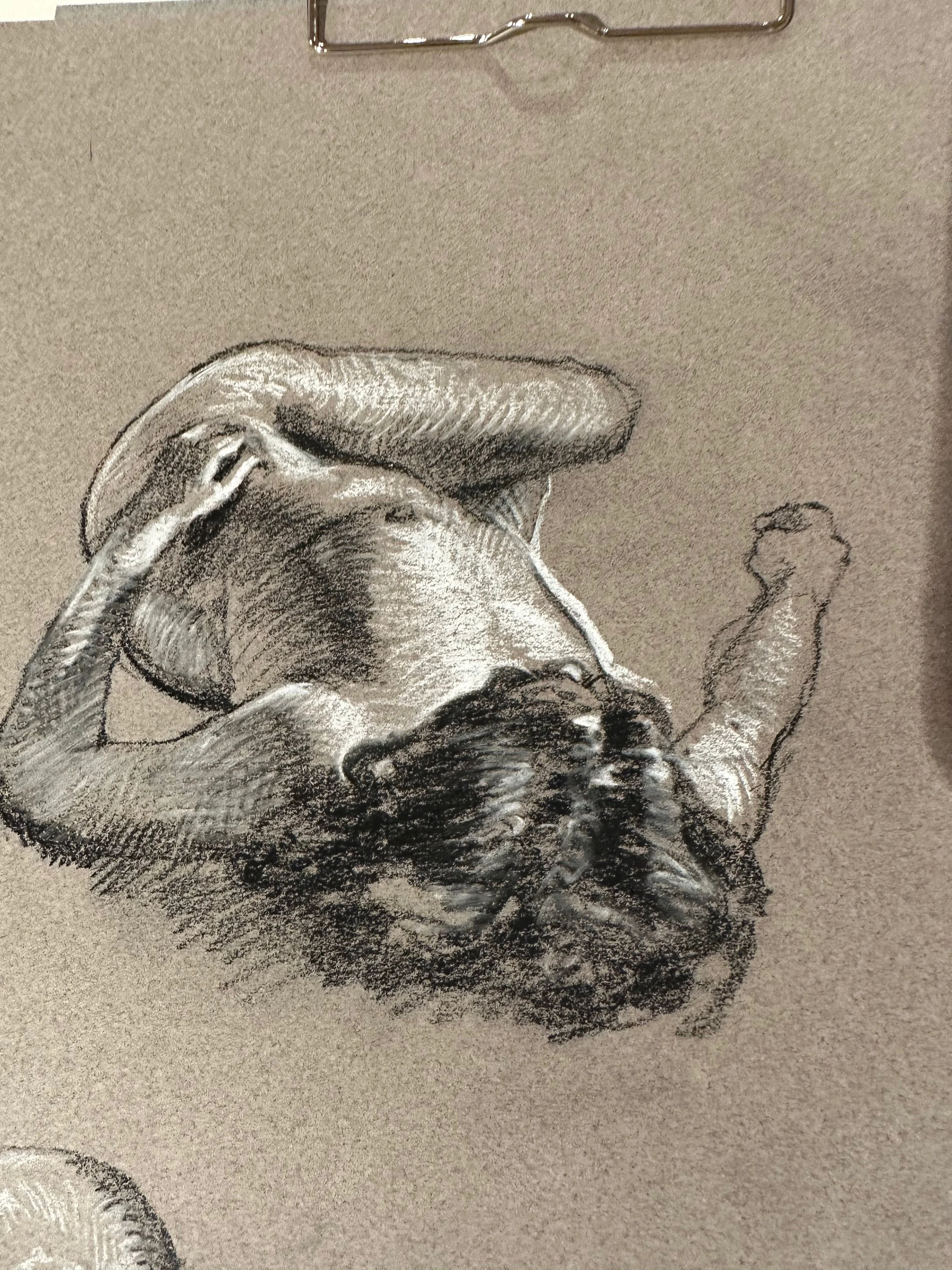 Disegno di una figura umana con un braccio alzato, realizzata con tecniche di tratteggio in creta bianca e crayon contè, su sfondo grigio chiaro.