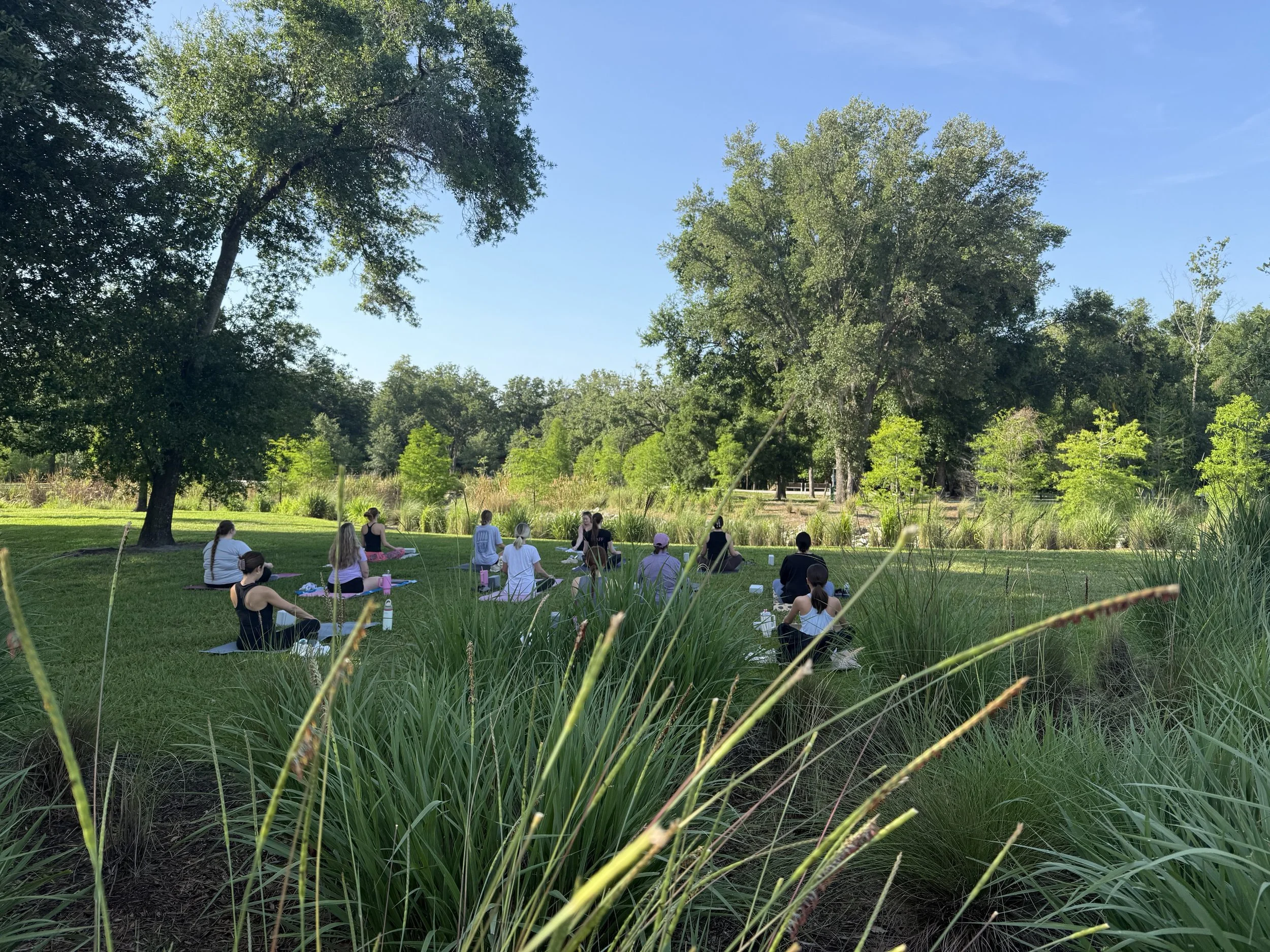People practicing yoga outdoors in a park on a sunny day, sitting on mats spaced apart under large trees.