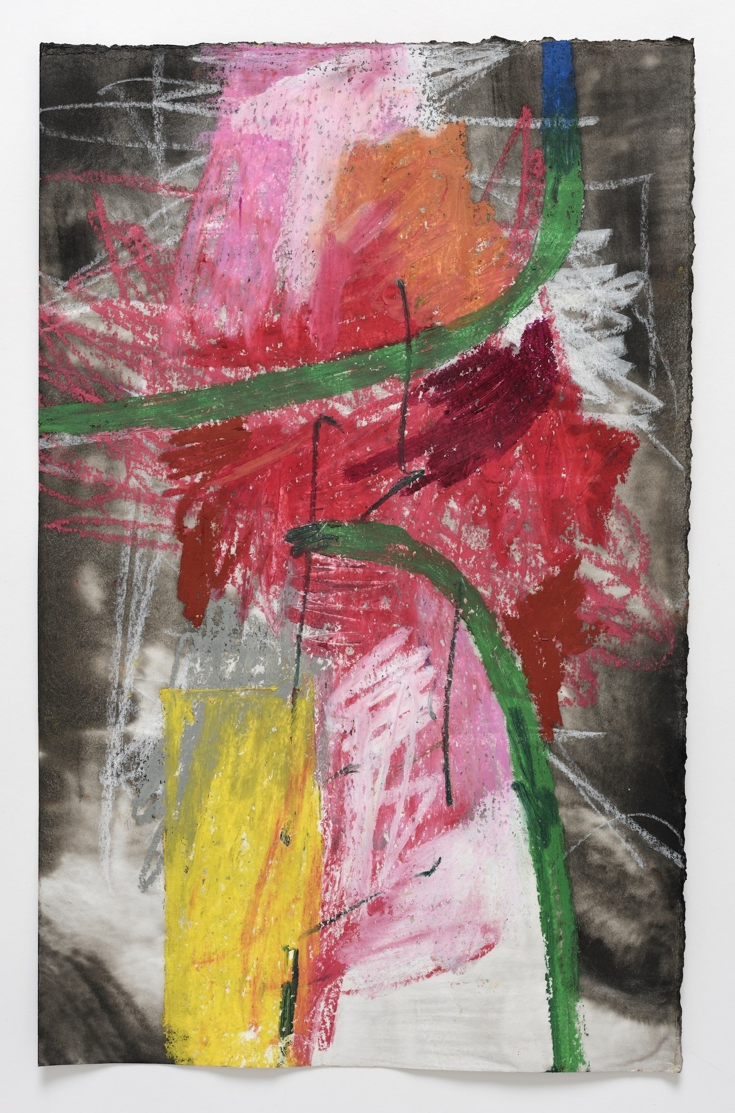 wdp_drawing_14 (web).jpg