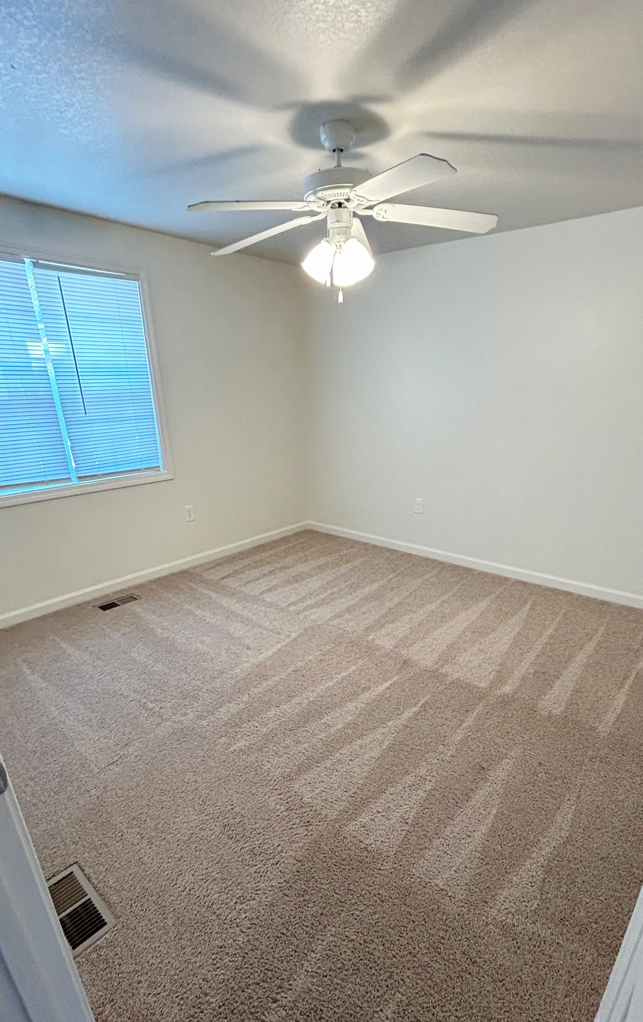 Carpet steam cleaning