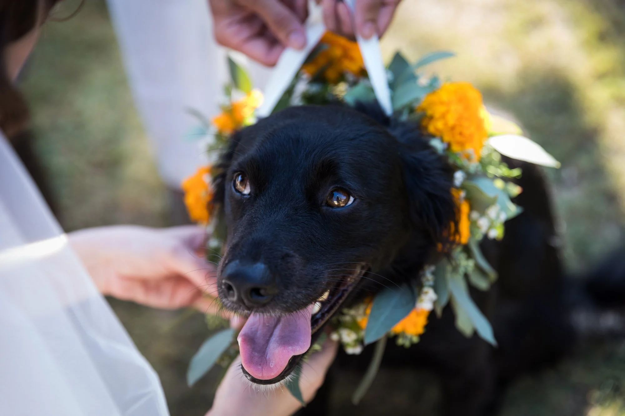 los-angeles-lgbtq-wedding-photographer-203-2718.jpg
