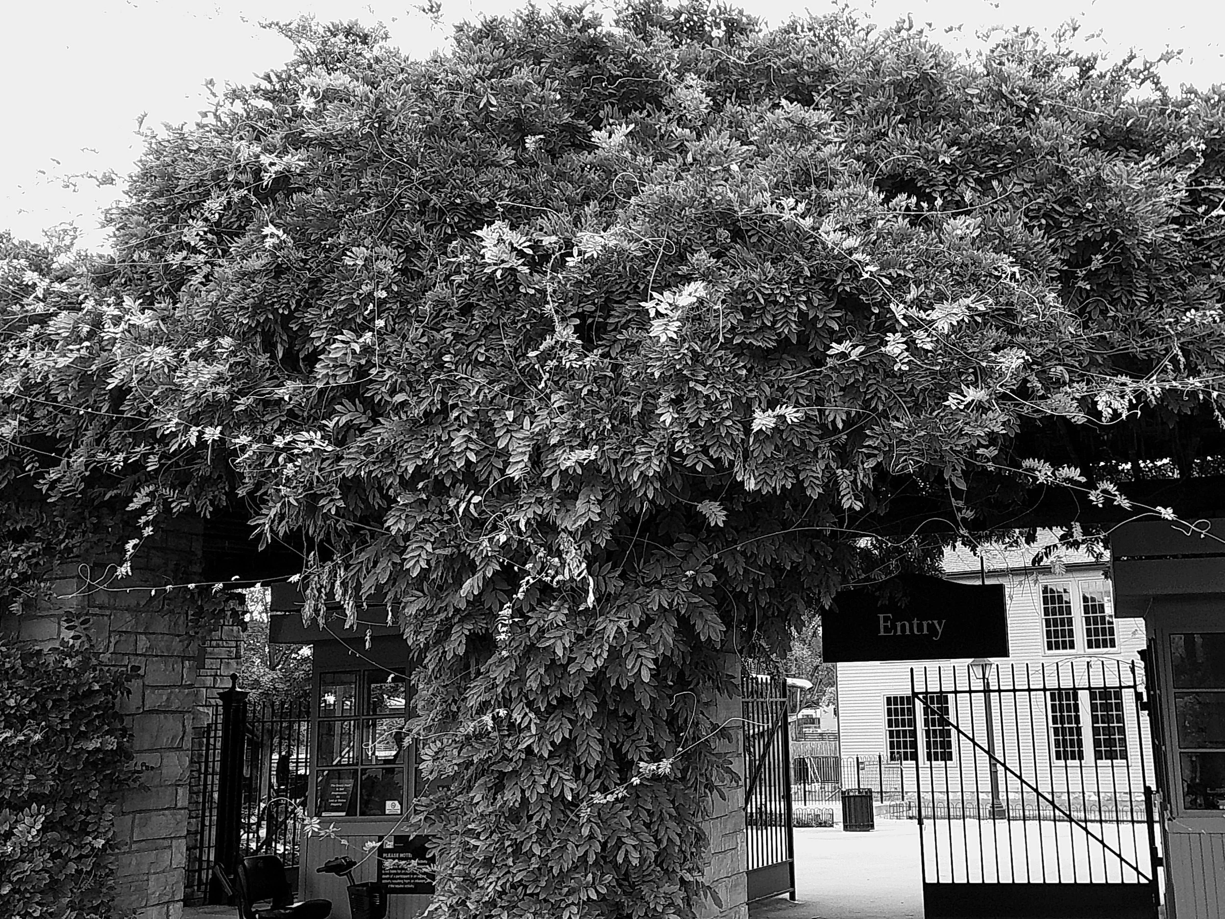 Cellar 100 22_noEXIF.jpg