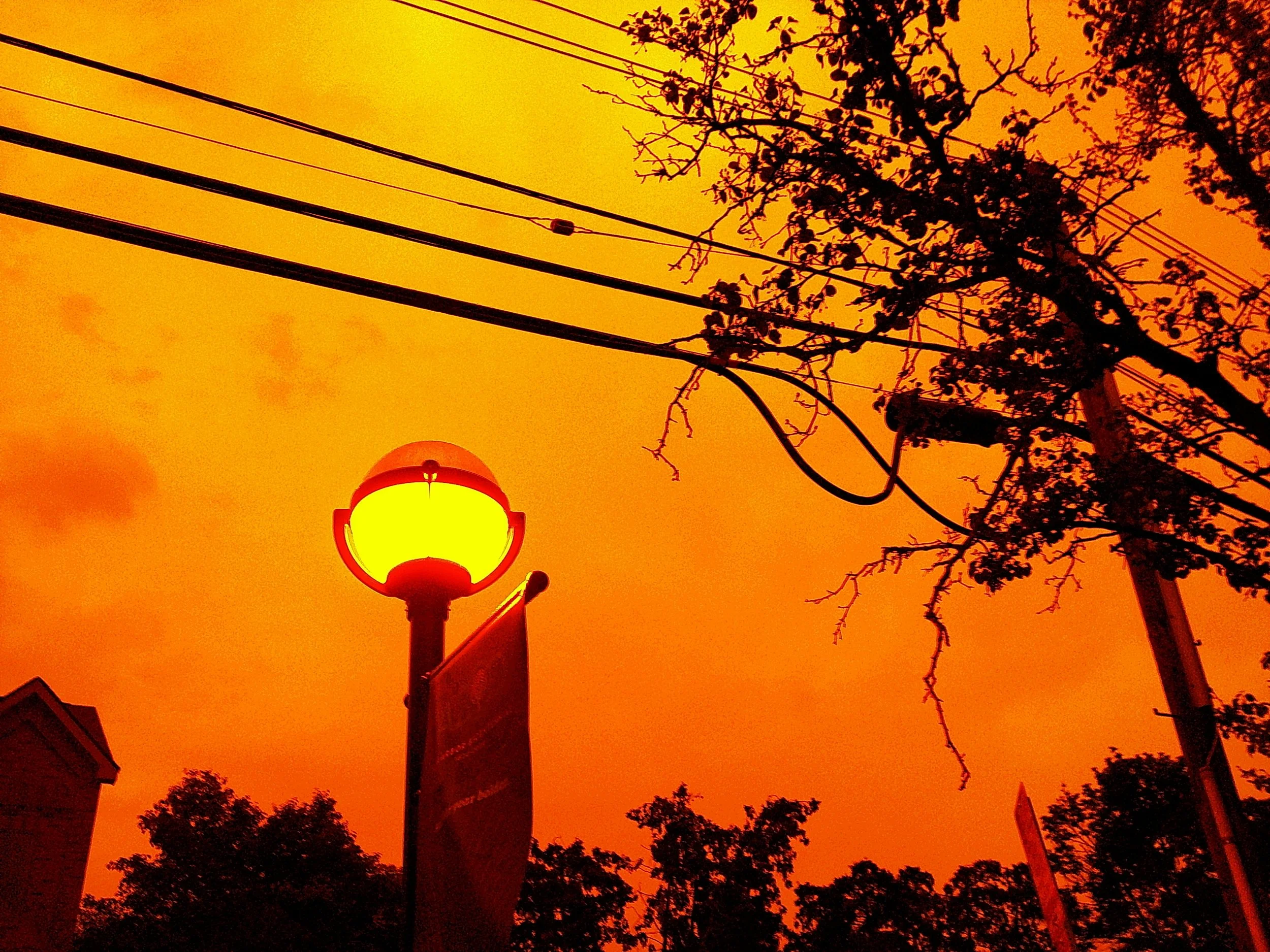 Streetlamp illuminating a sunset sky with orange hues, silhouetted tree branches, and power lines.