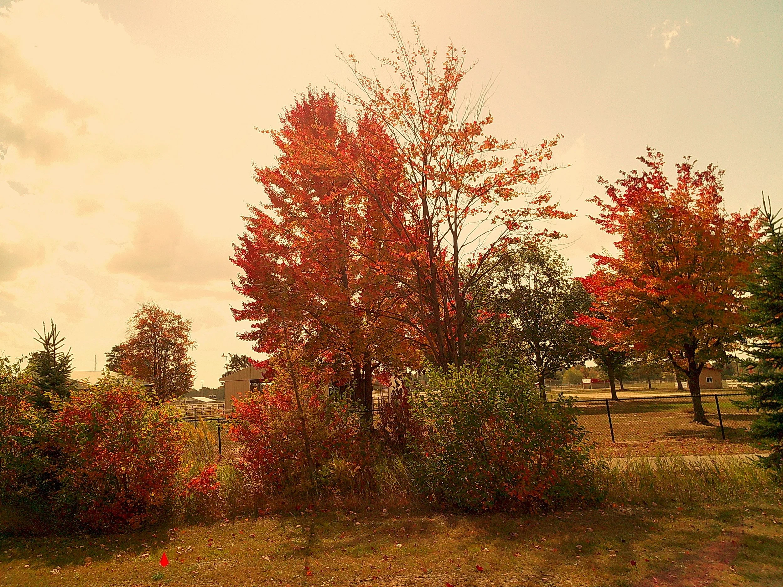 Autumnlens 27_noEXIF.JPG