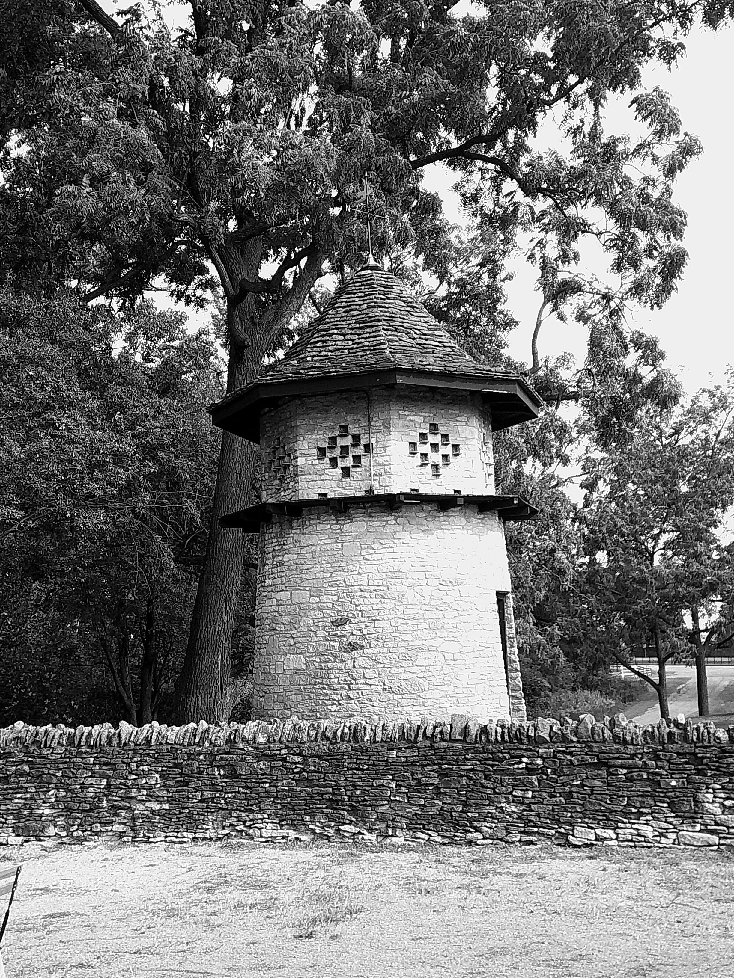 Cellar 100 66_noEXIF.jpg