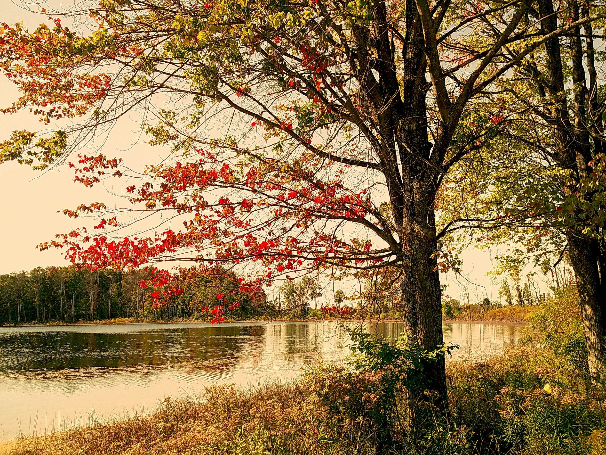 Autumnlens 06_noEXIF.jpg