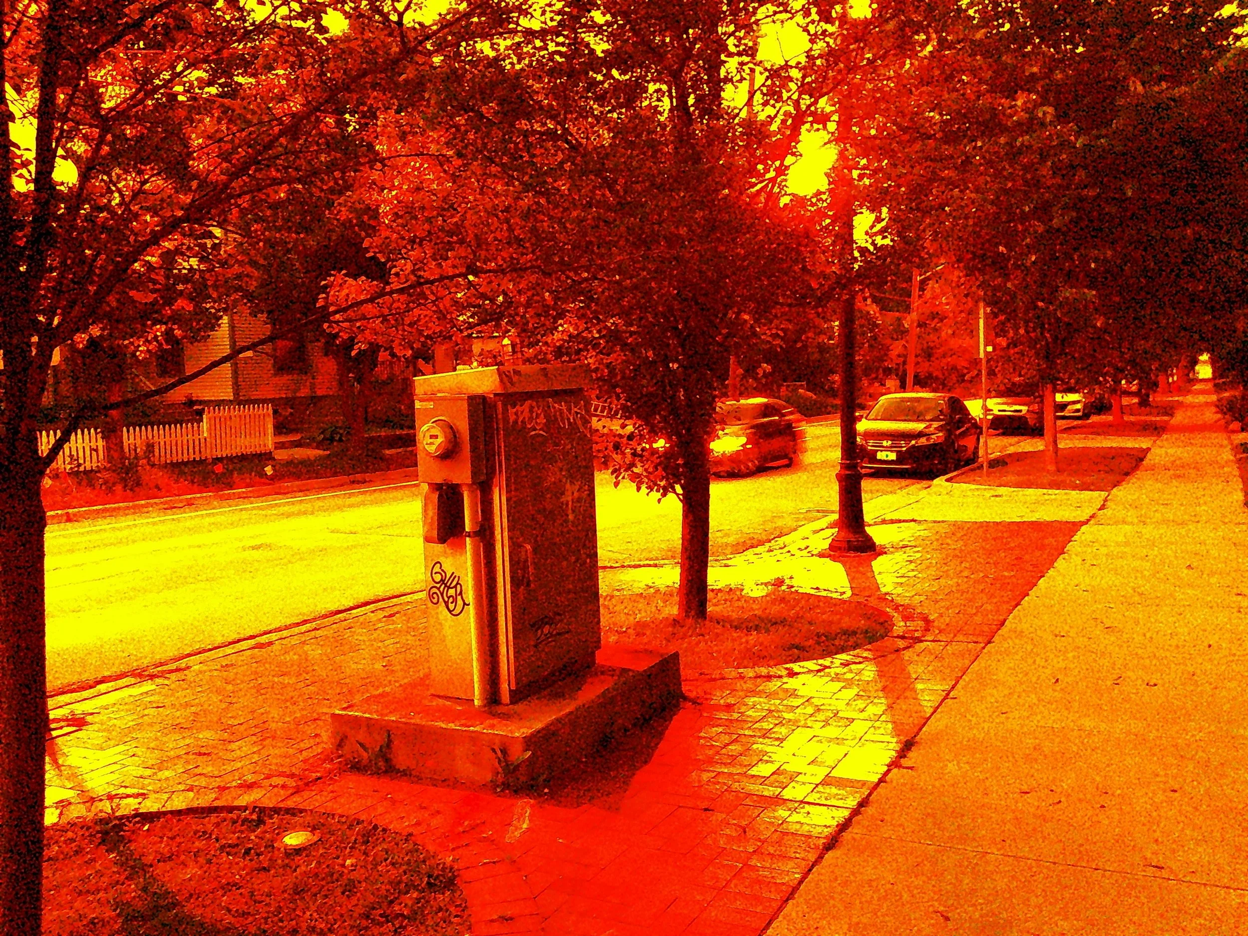 Empty city sidewalk with trees, parked cars, and a parking meter on a rainy day during sunset.