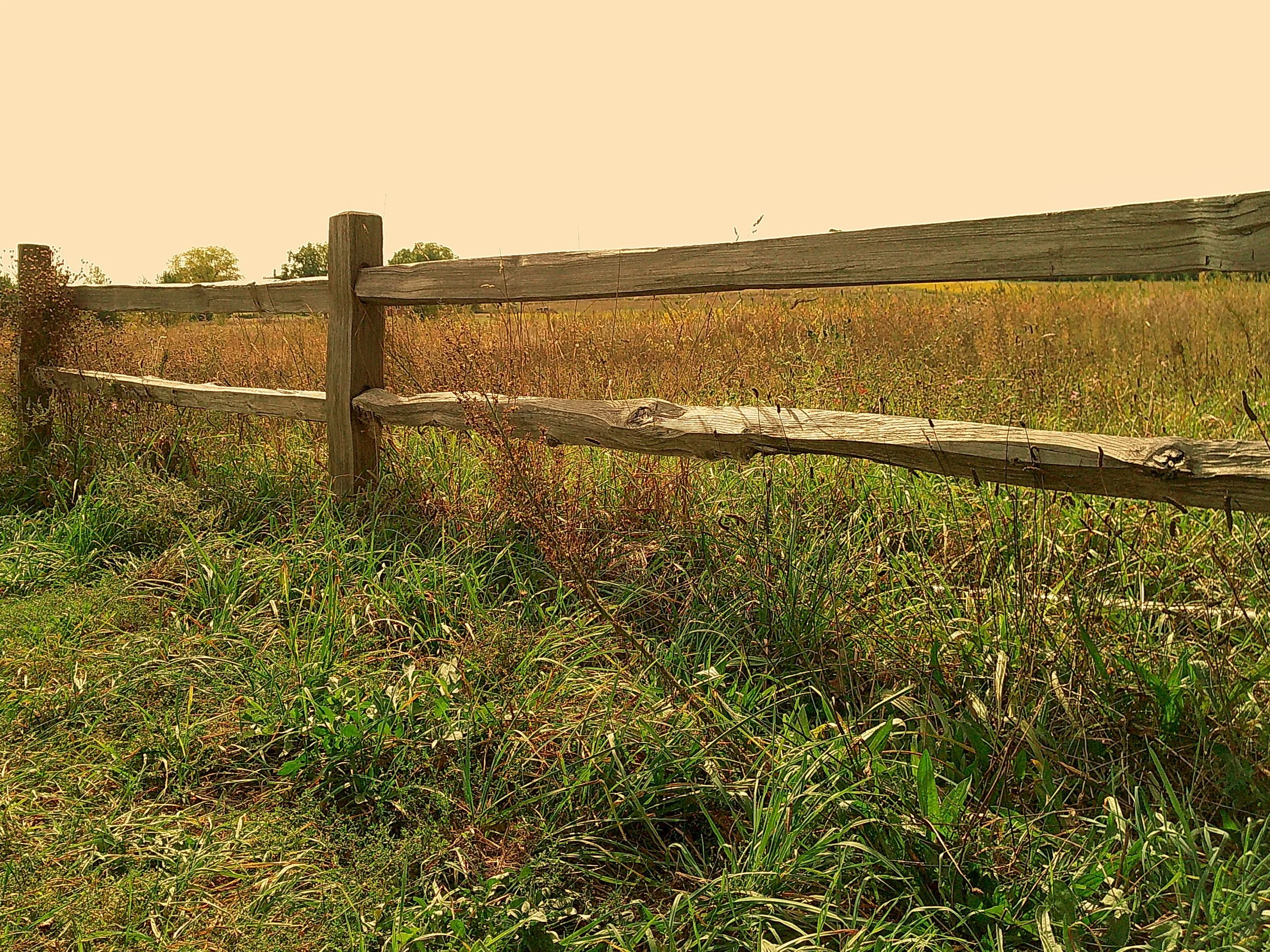 Autumnlens 11_noEXIF.jpg