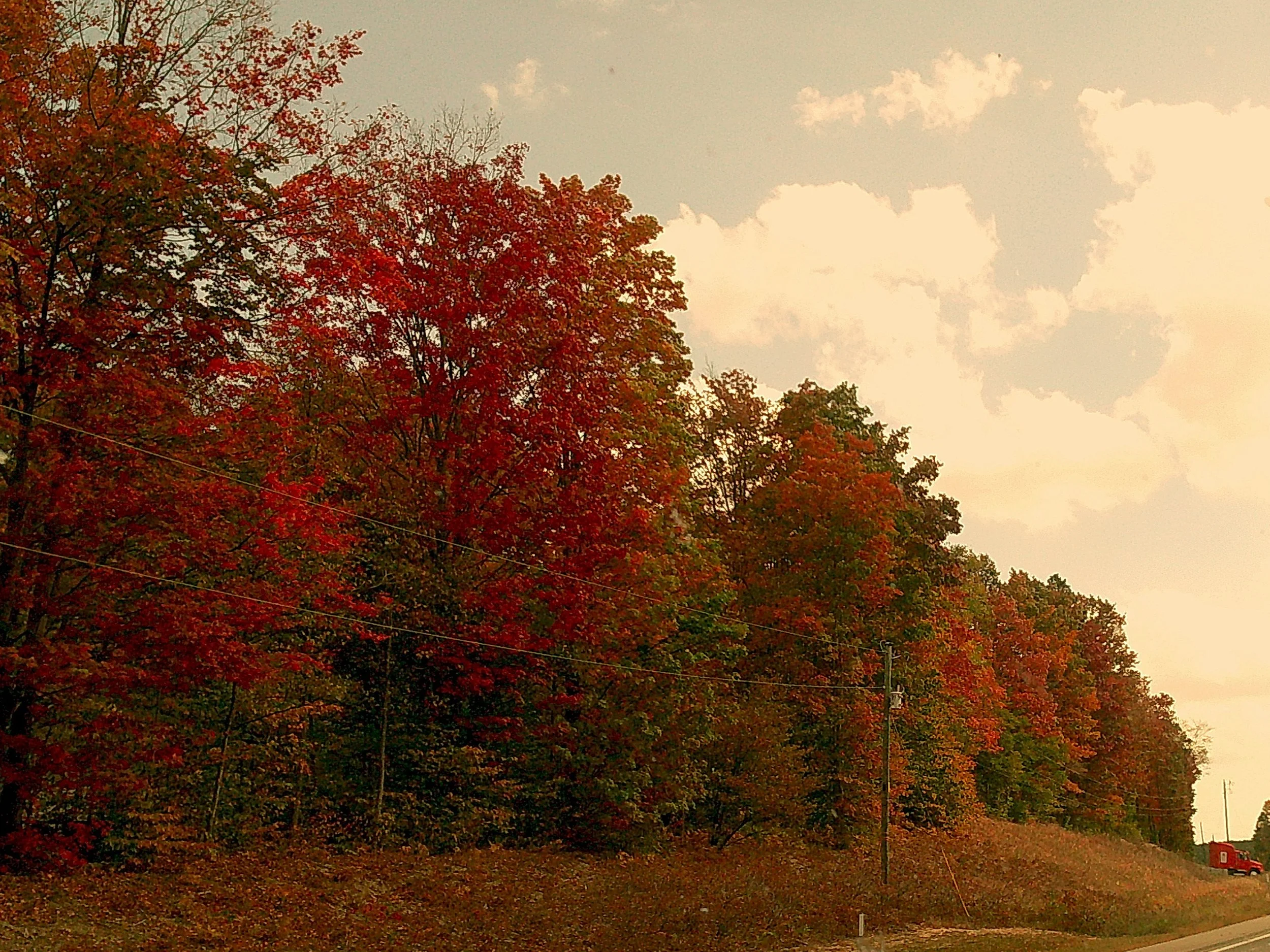 Autumnlens 23_noEXIF.jpg