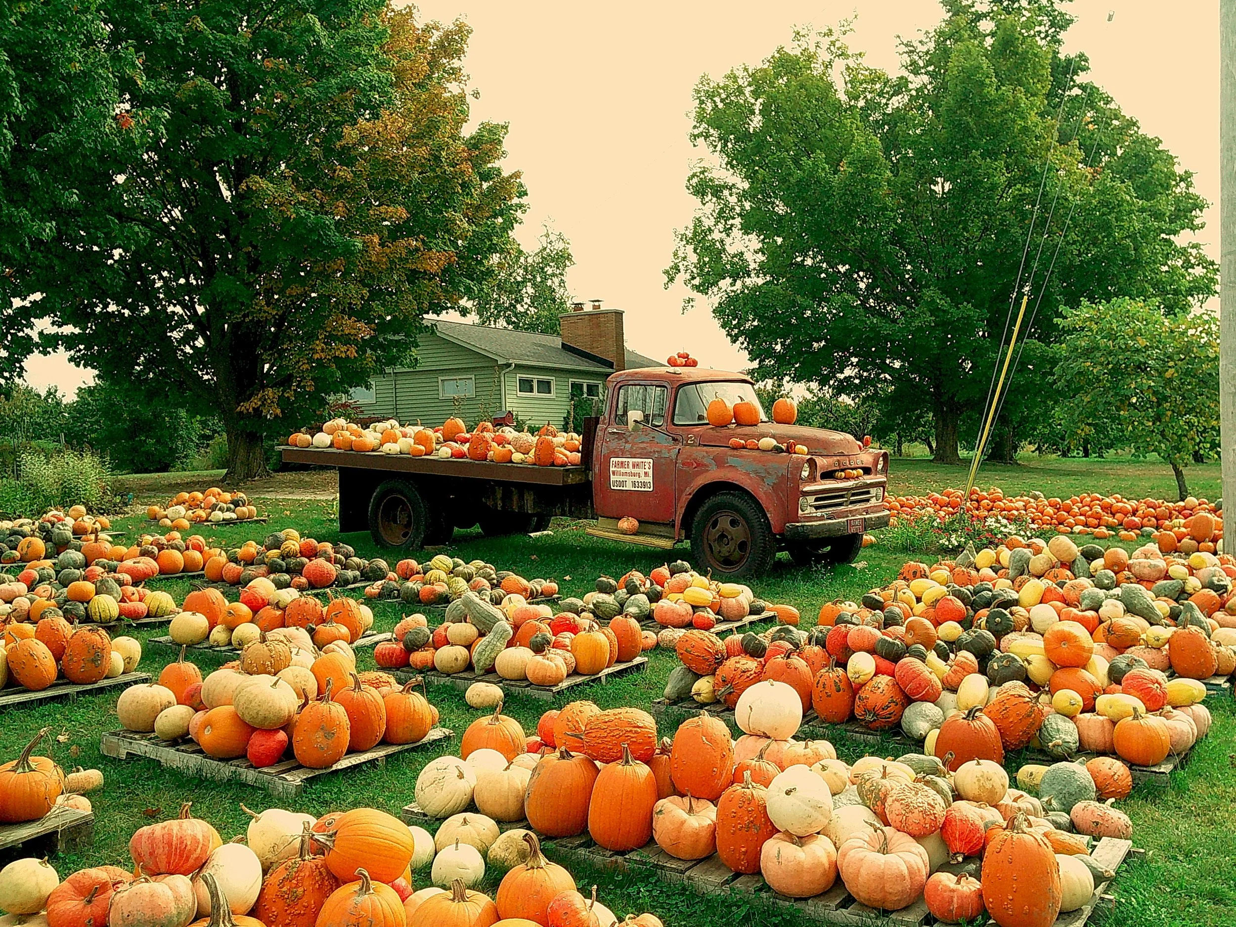 Autumnlens 14_noEXIF.jpg