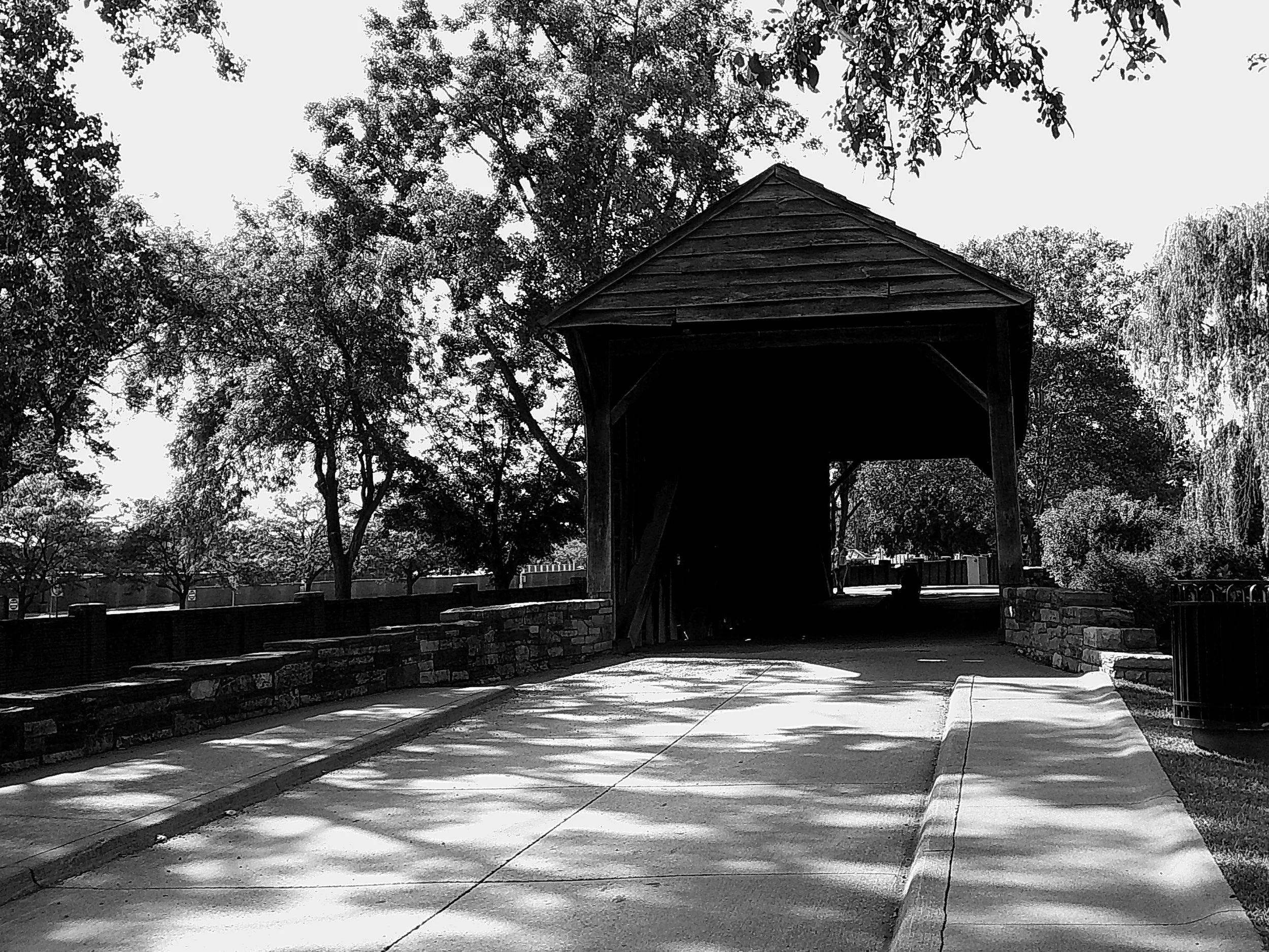 Cellar 100 62_noEXIF.jpg