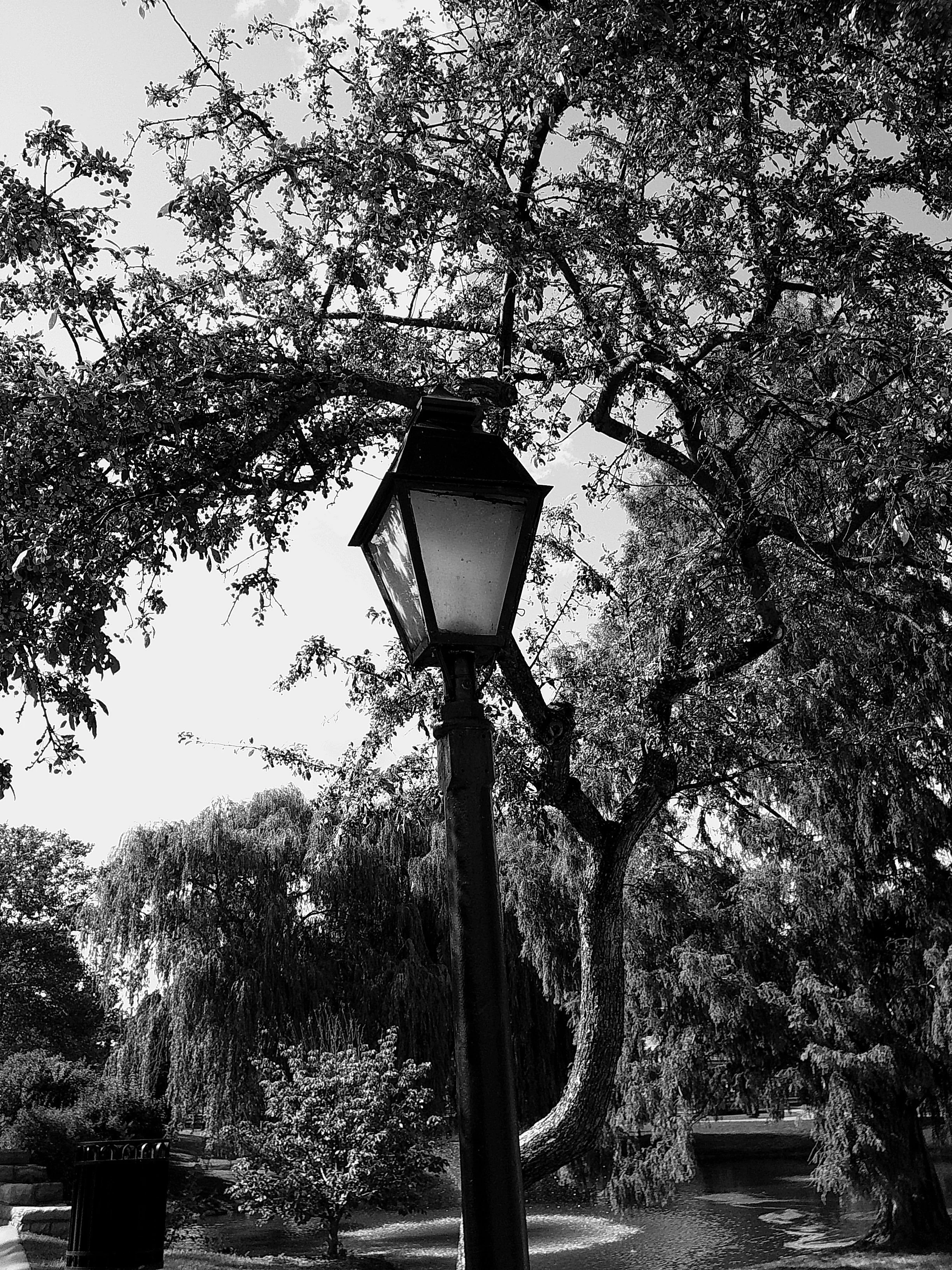 Cellar 100 63_noEXIF.jpg