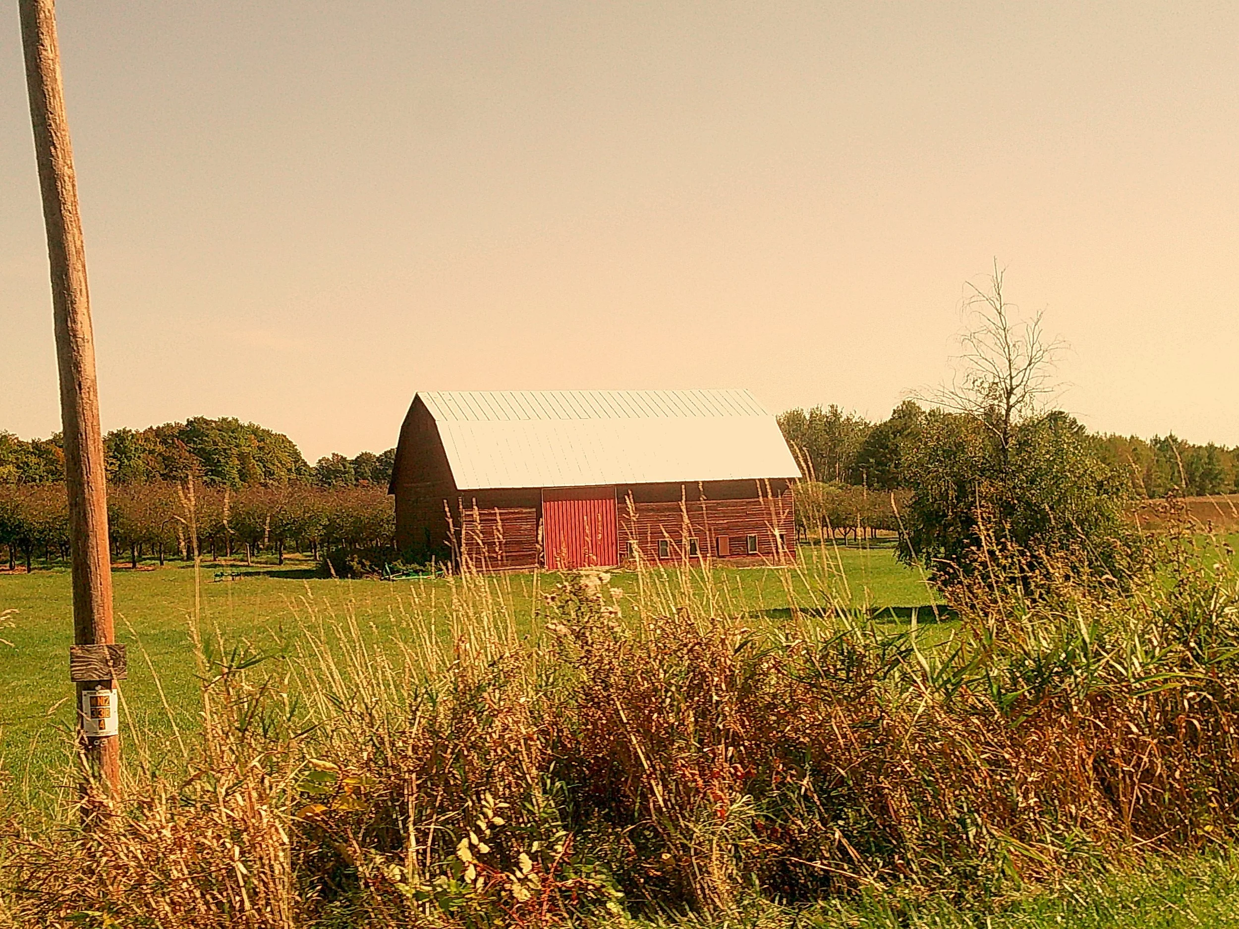 Autumnlens 10_noEXIF.jpg