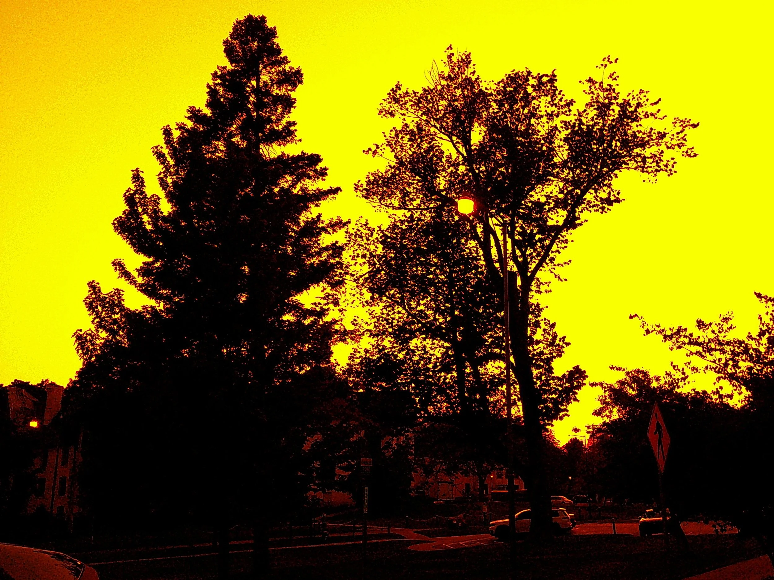 Silhouettes of tall trees against a vibrant yellow and orange sunset sky in a suburban neighborhood with parked cars and a street sign.