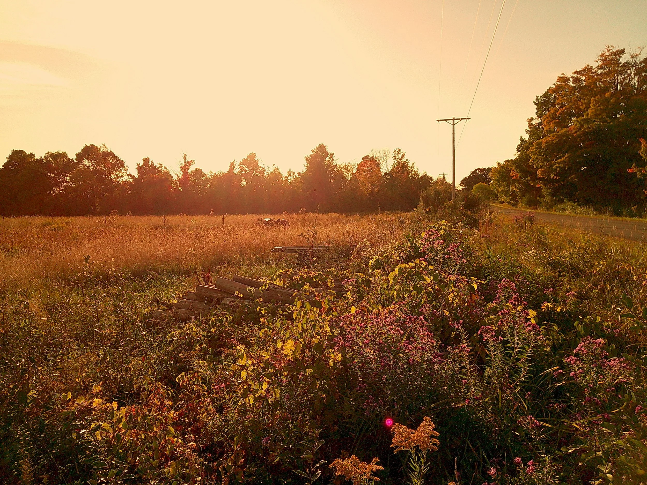 Autumnlens 17_noEXIF.JPG