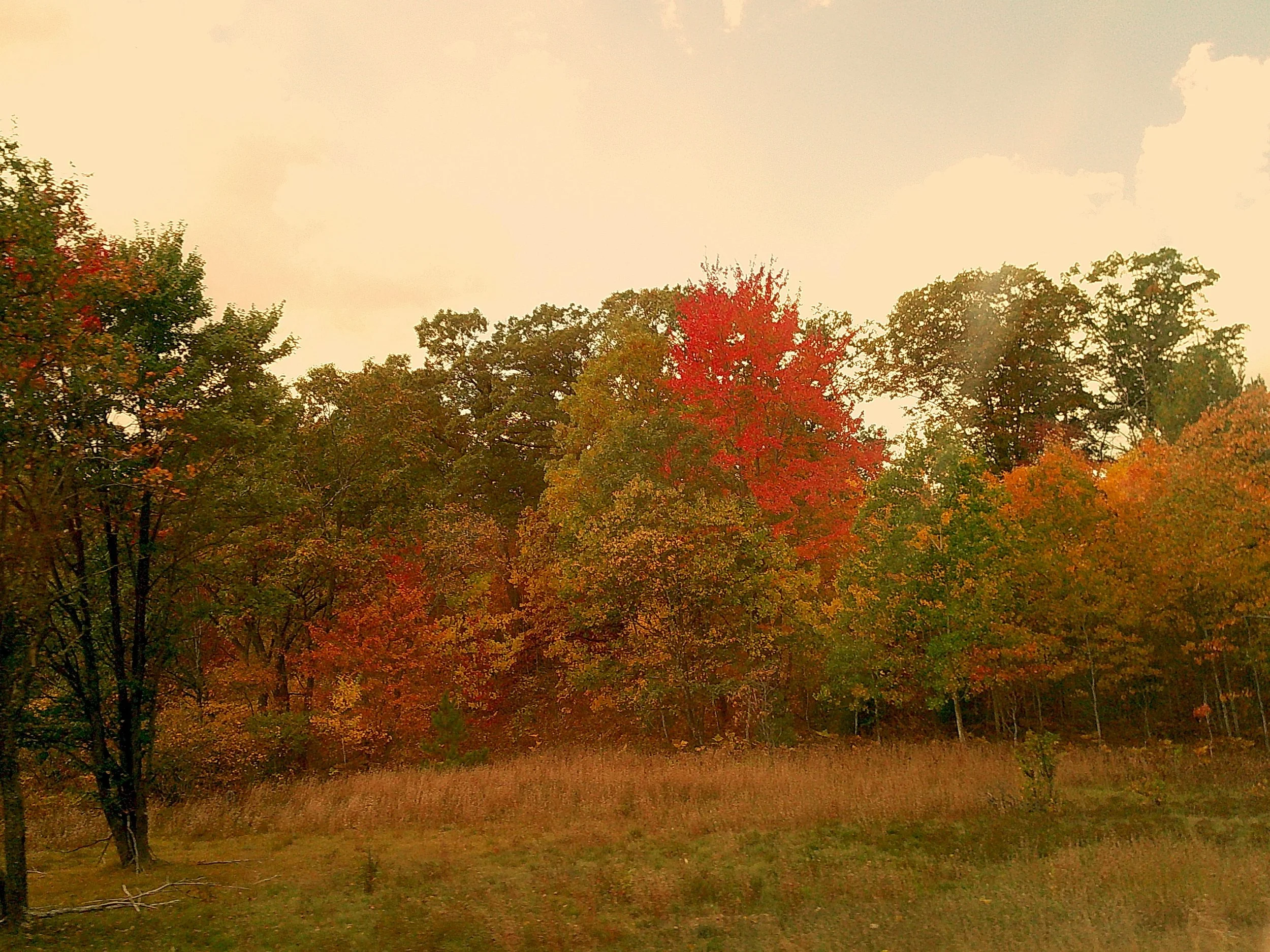 Autumnlens 25_noEXIF.jpg