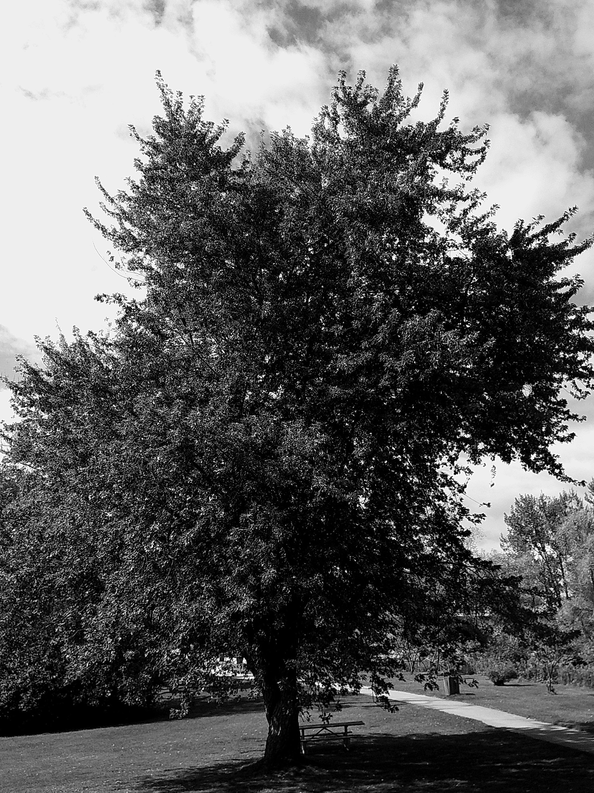 Cellar 100 89_noEXIF.jpg