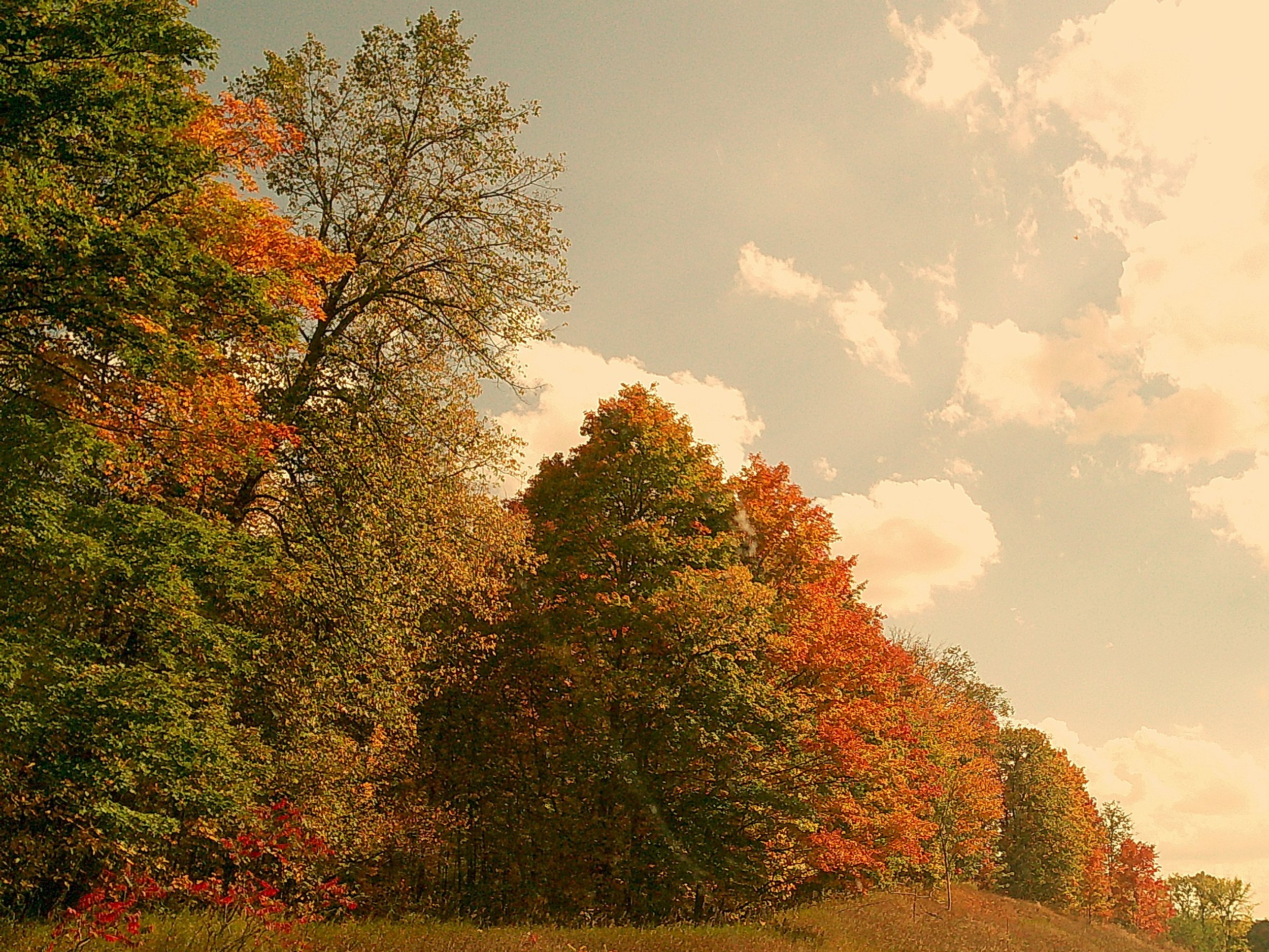 Autumnlens 22_noEXIF.jpg