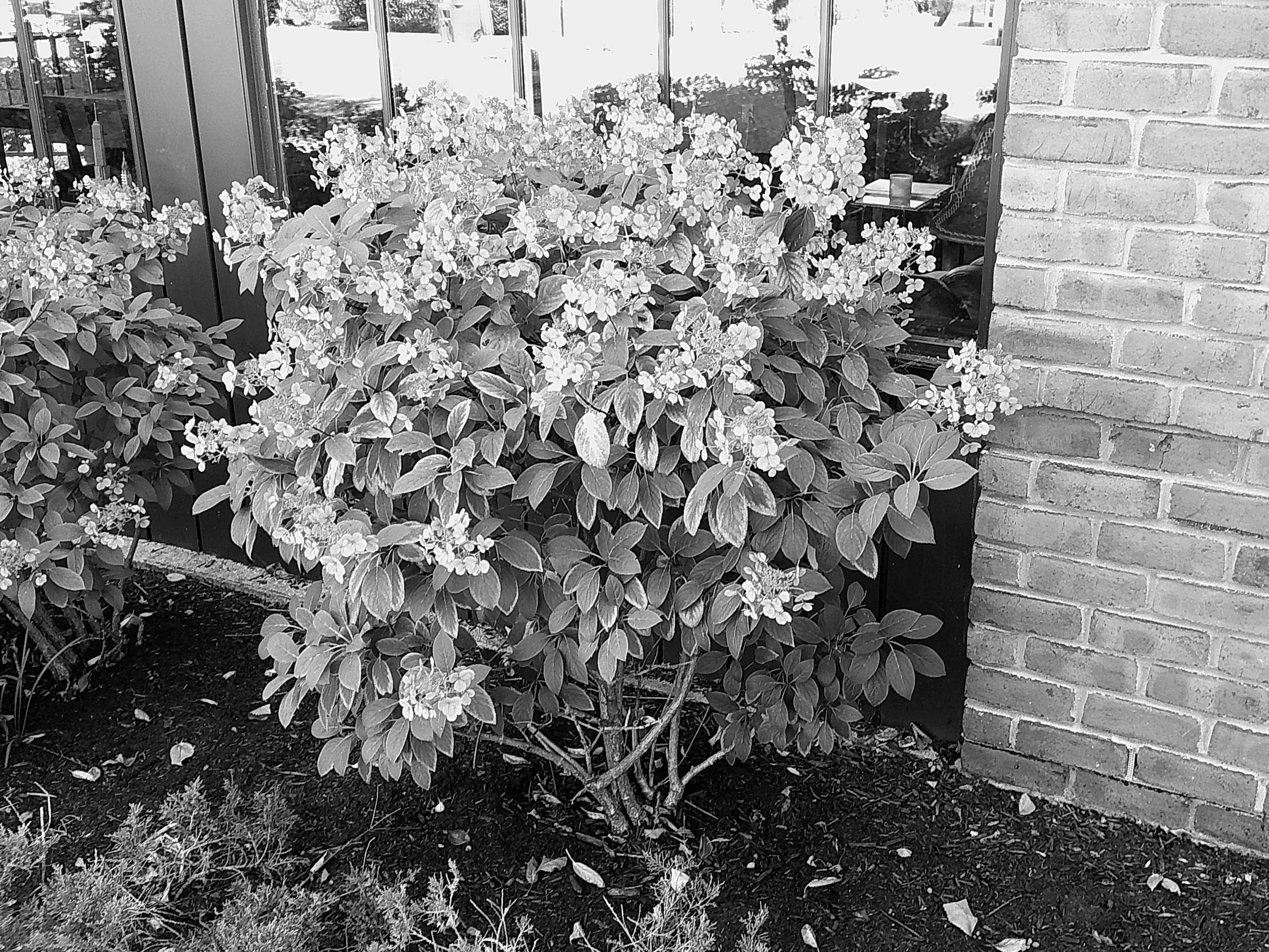 Cellar 100 06_noEXIF.jpg