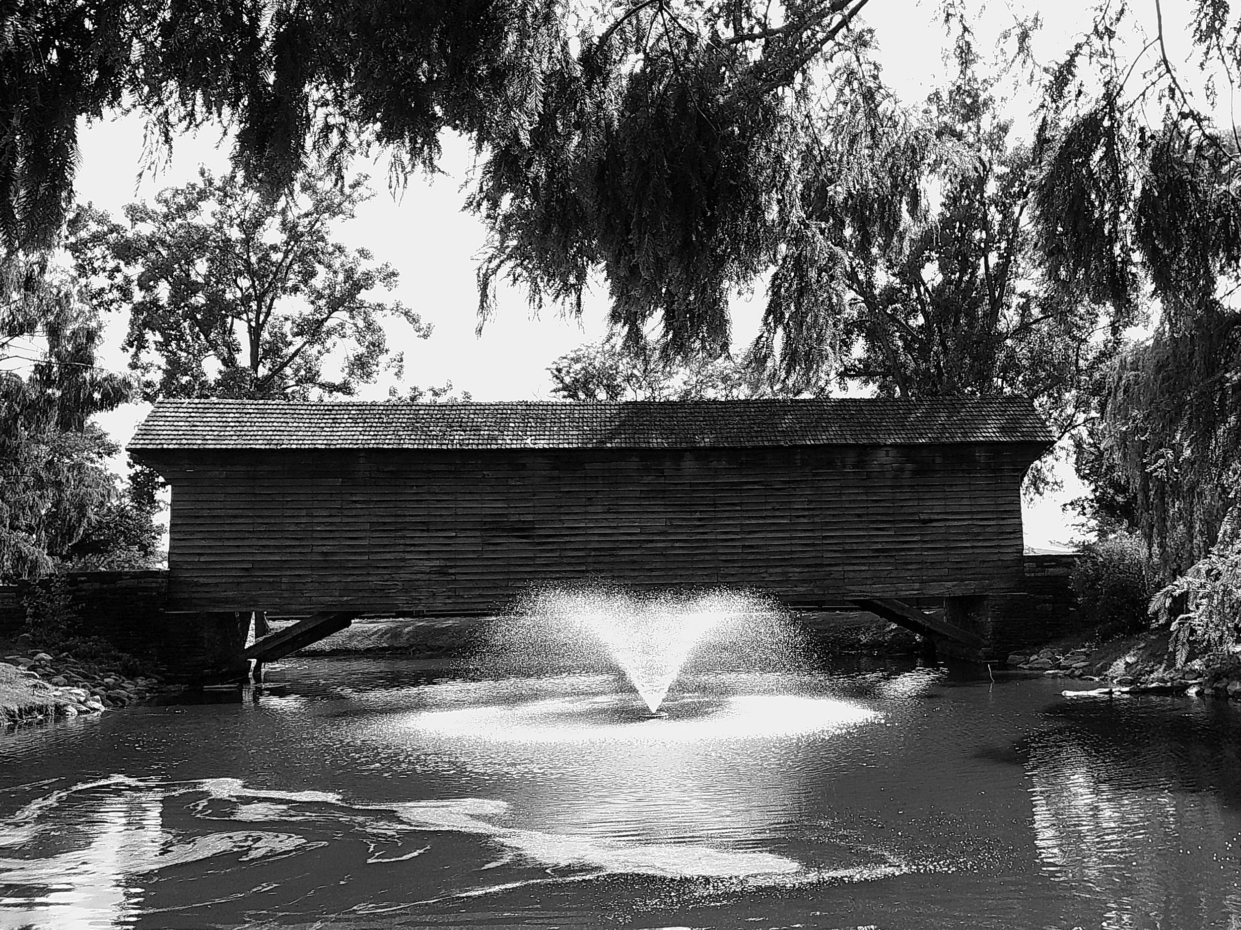 Cellar 100 60_noEXIF.jpg