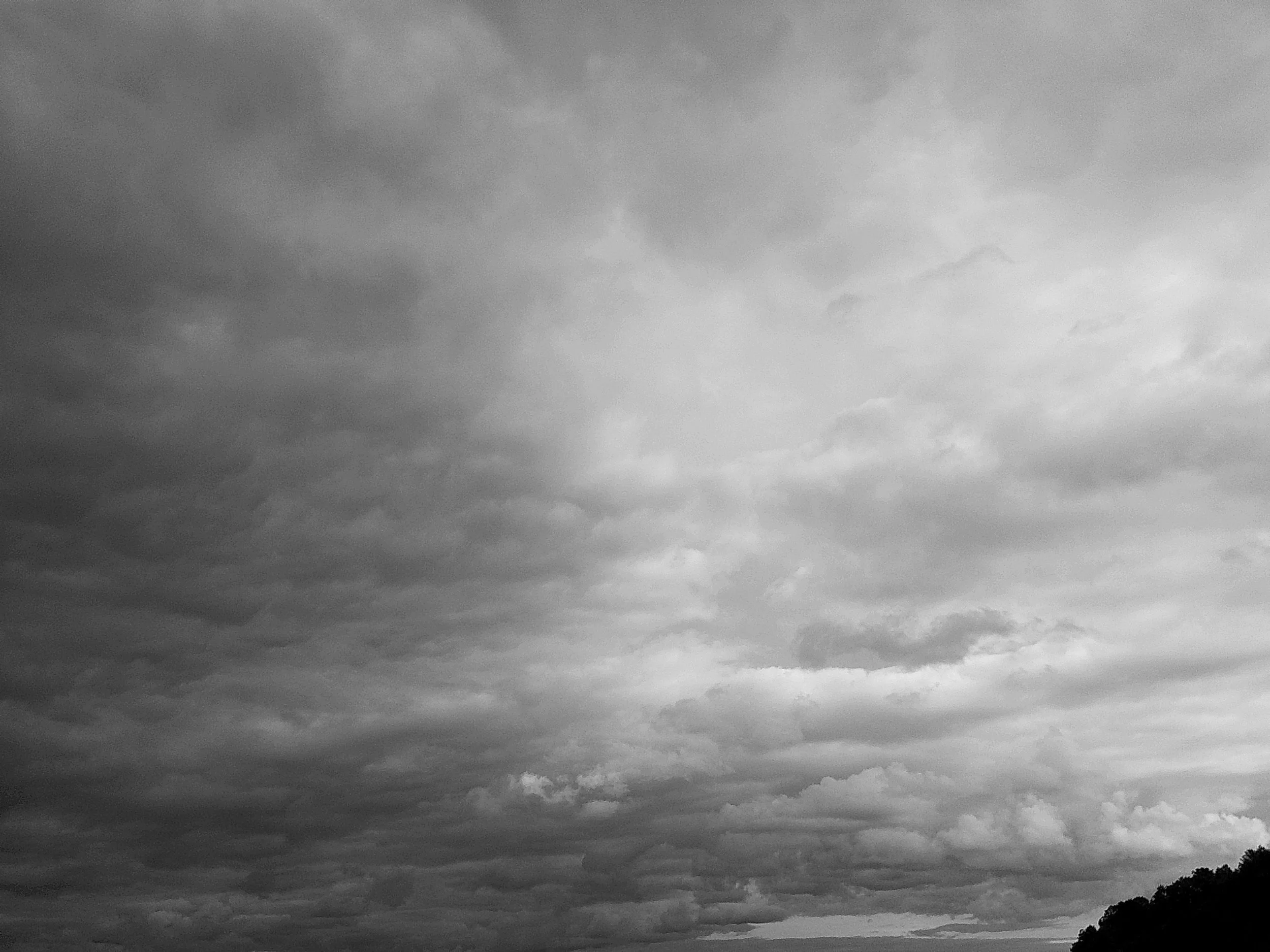 Cellar 100 81_noEXIF.jpg