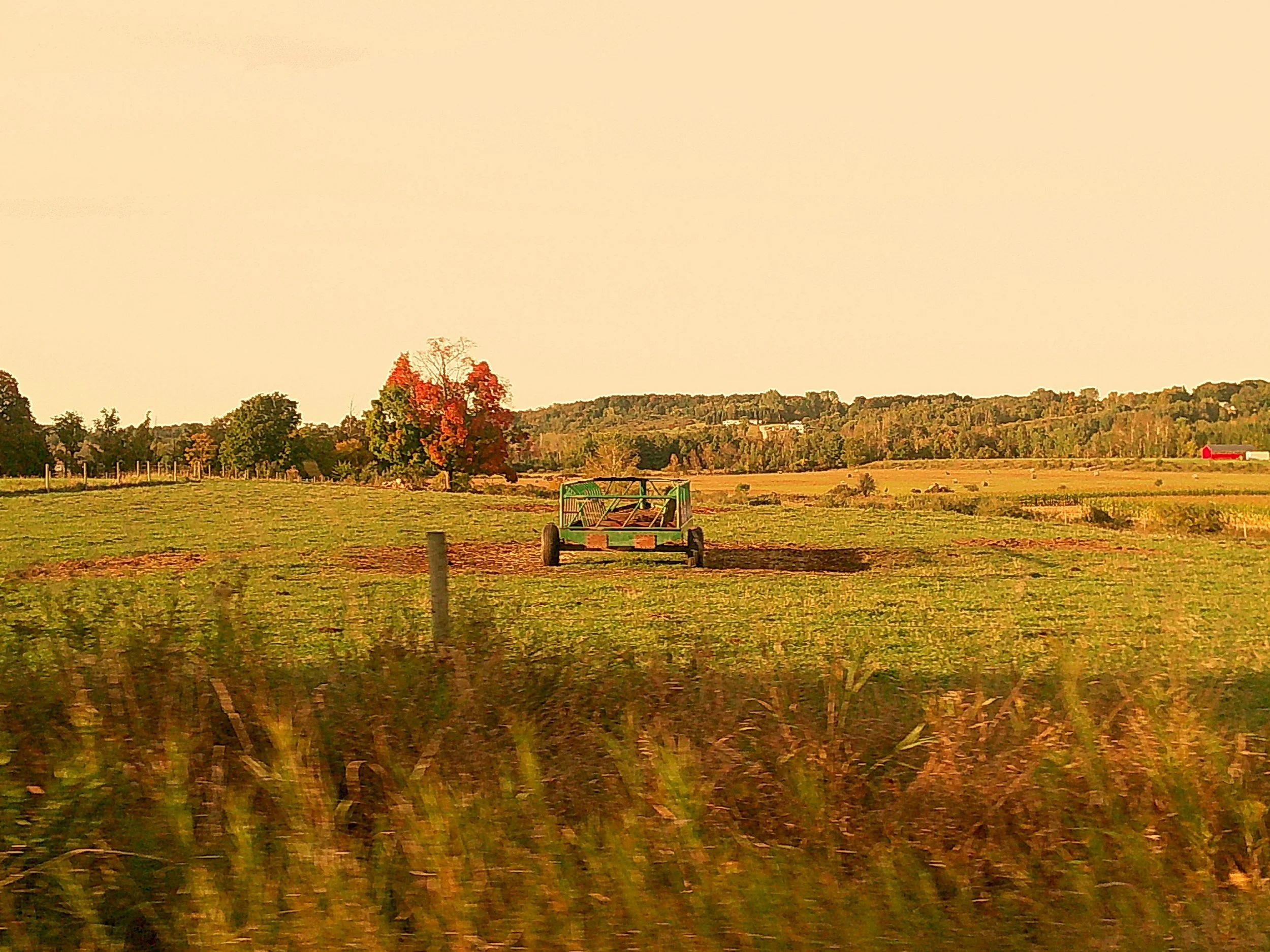 Autumnlens 16_noEXIF.jpg