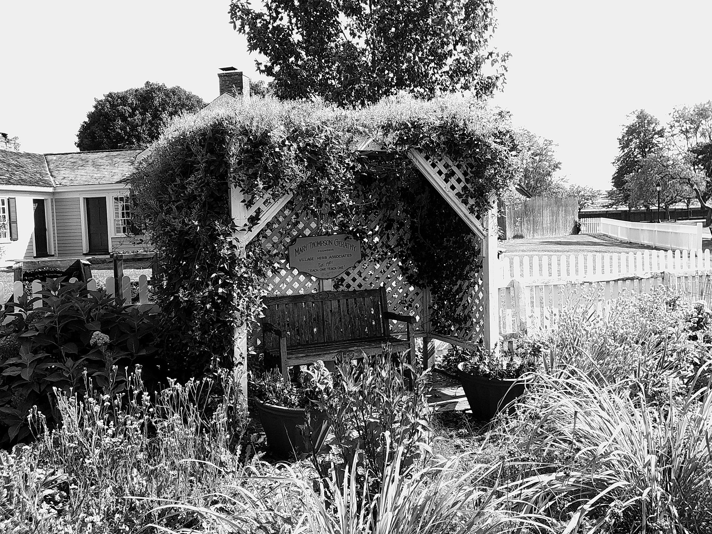 Cellar 100 61_noEXIF.jpg