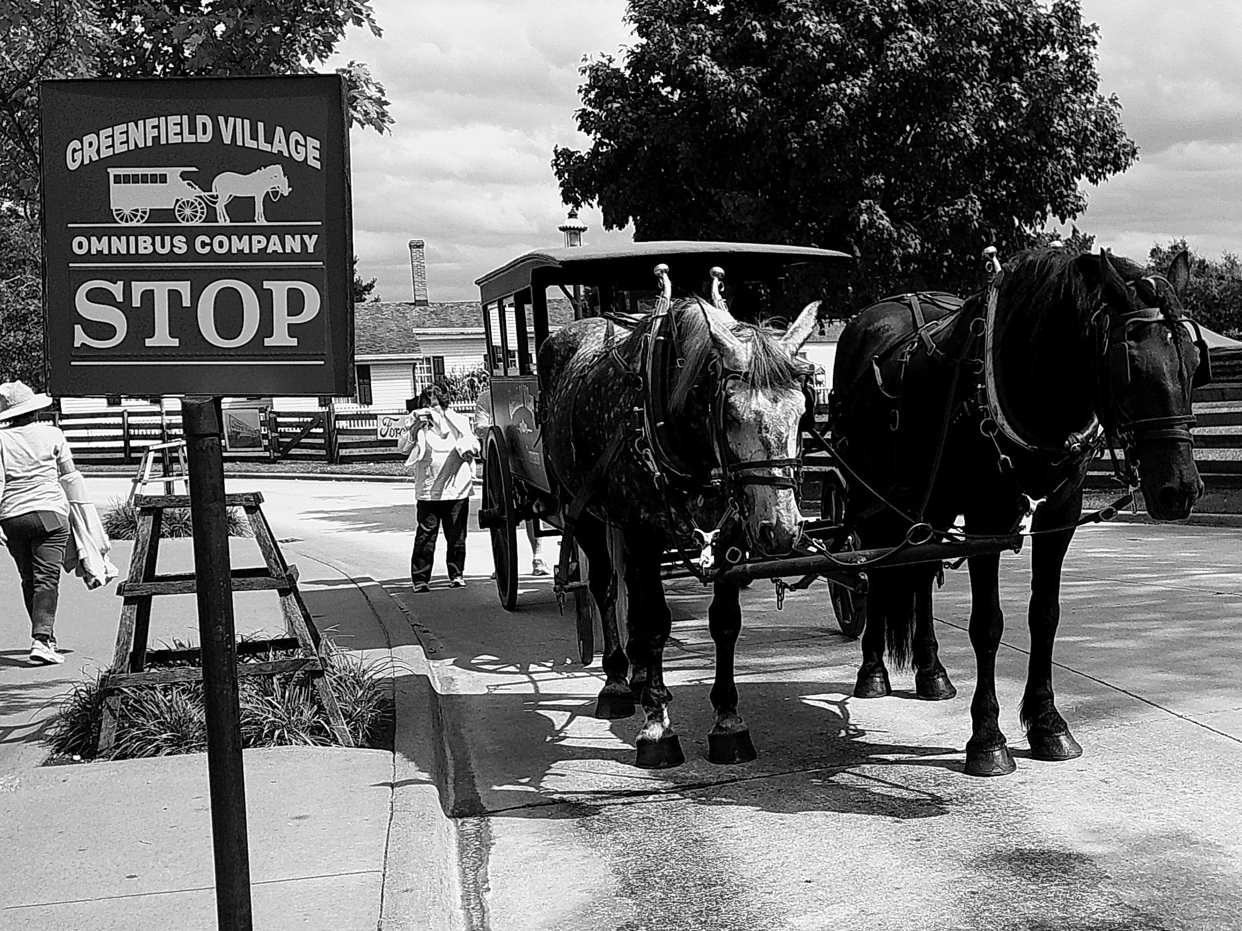 Cellar 100 32_noEXIF.jpg