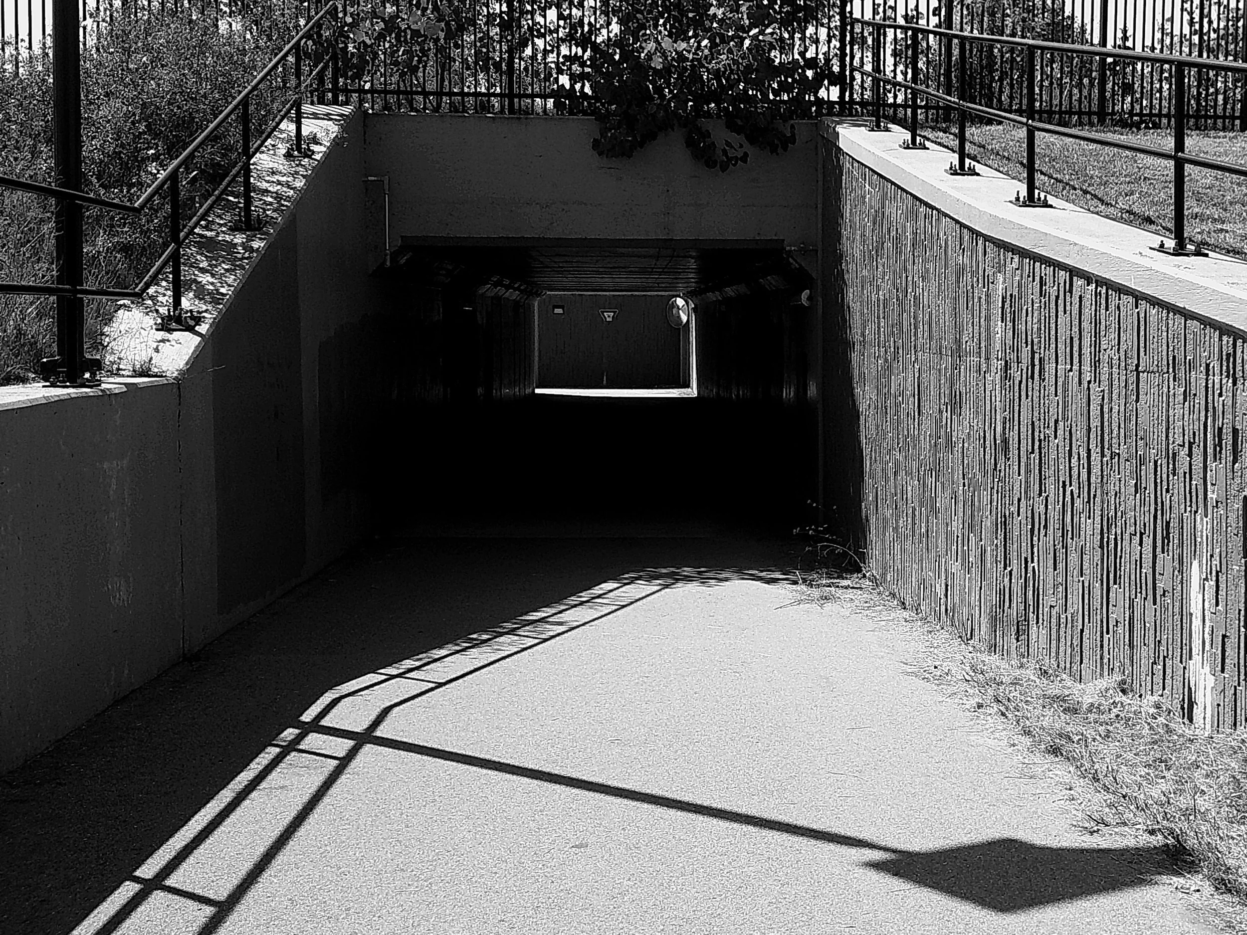 Cellar 100 10_noEXIF.jpg