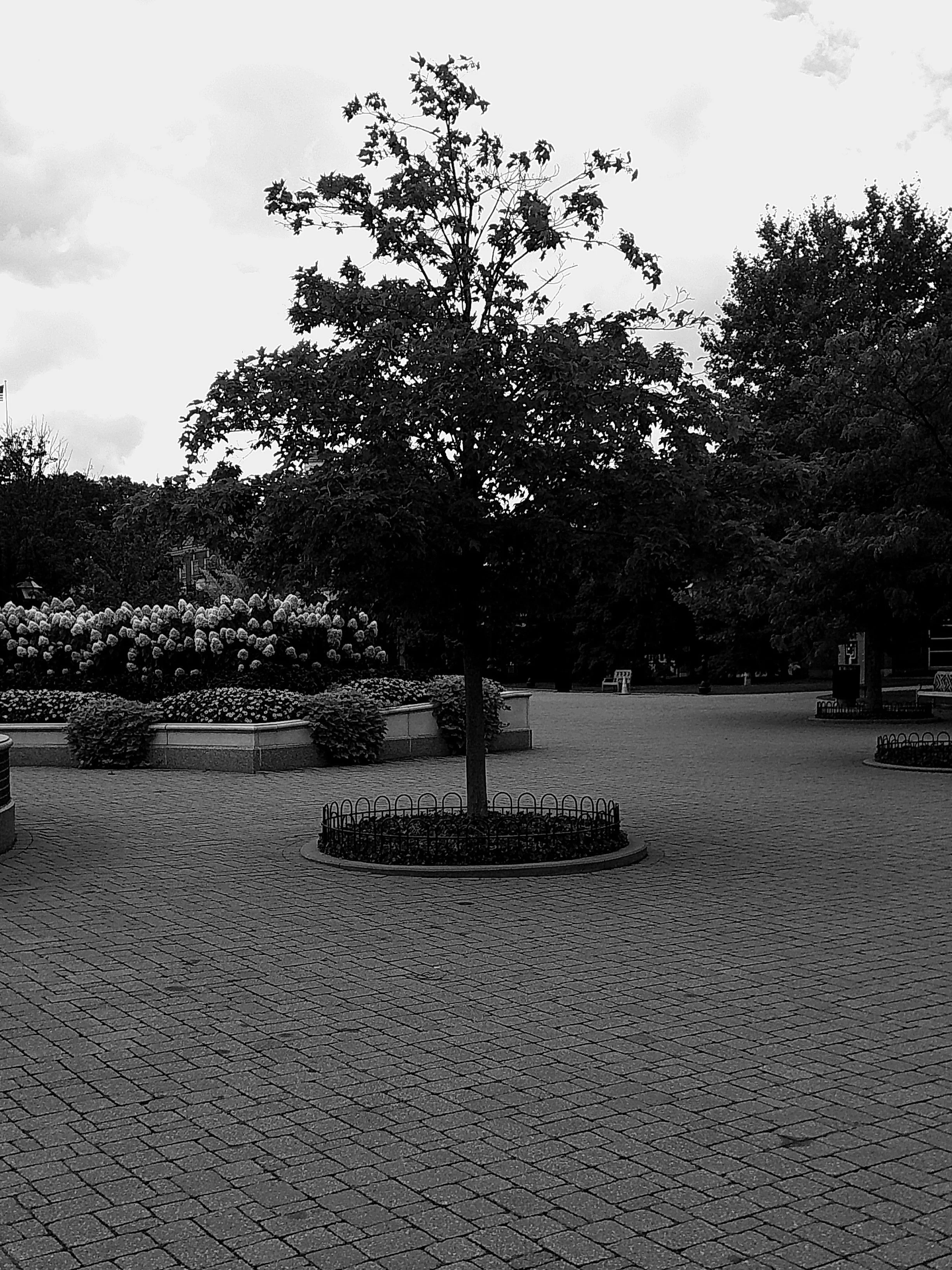 Cellar 100 23_noEXIF.jpg