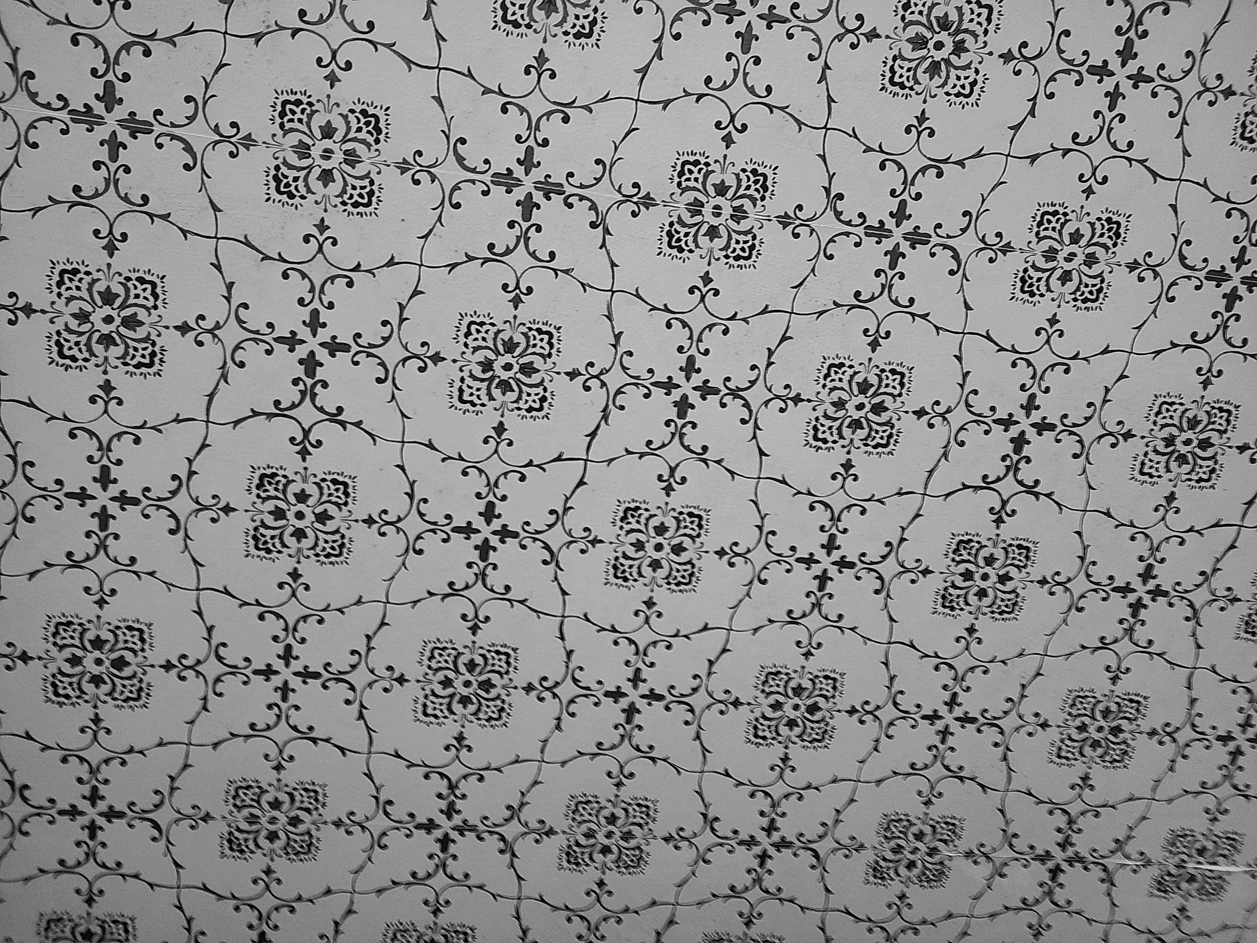 Cellar 100 50_noEXIF.jpg