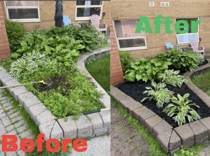 Oranssi project: passive house