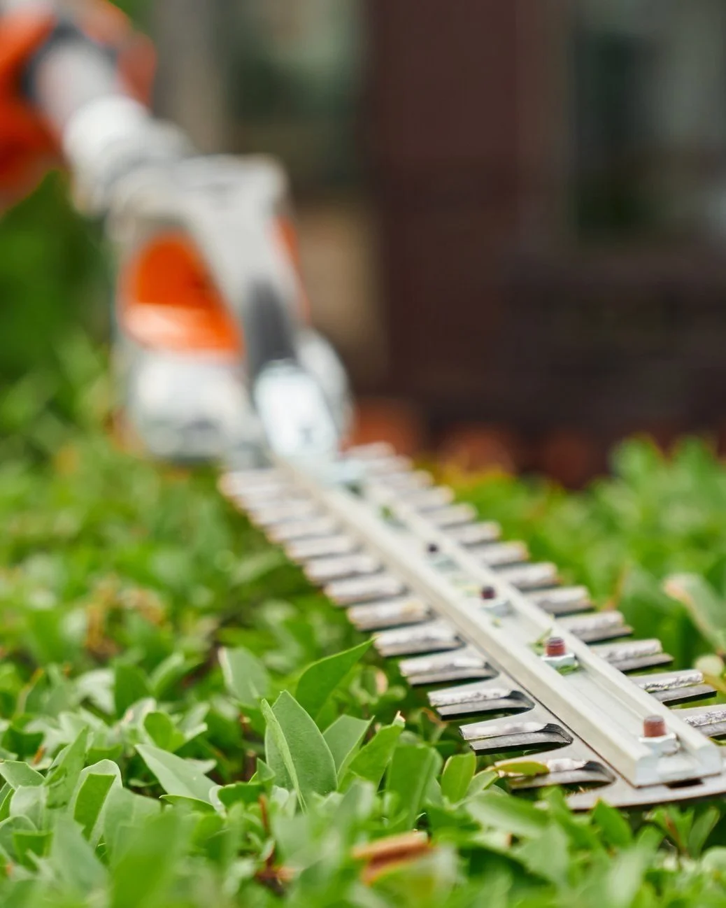 A hedge trimmer cutting green hedge leaves, with blurred background.